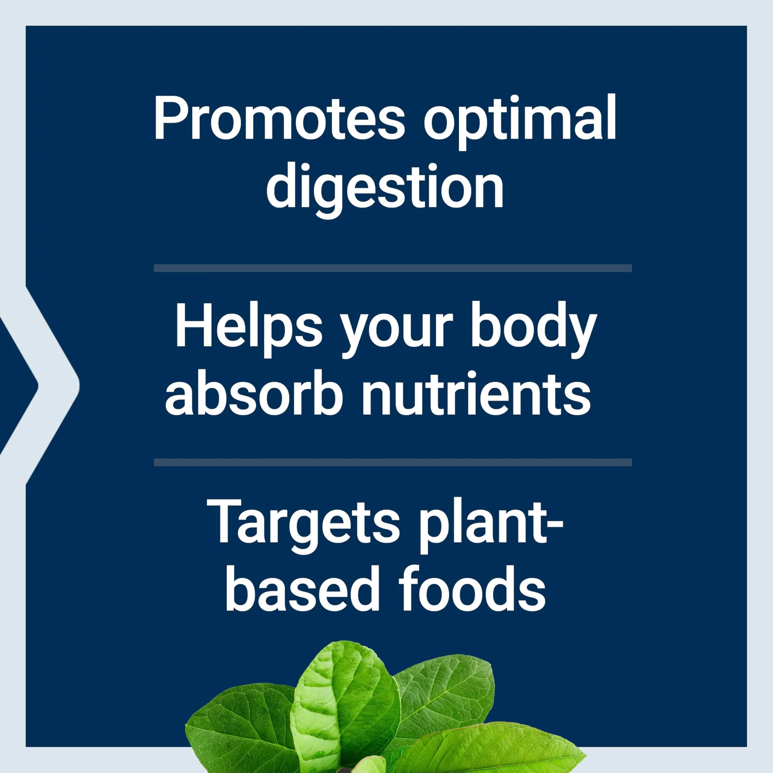 Life Extension Enhanced Super Digestive Enzymes, Supports Digestion, Comfort, digesting Plant-Based Foods, Non-GMO, Vegetarian, 60 Capsules - Image 7