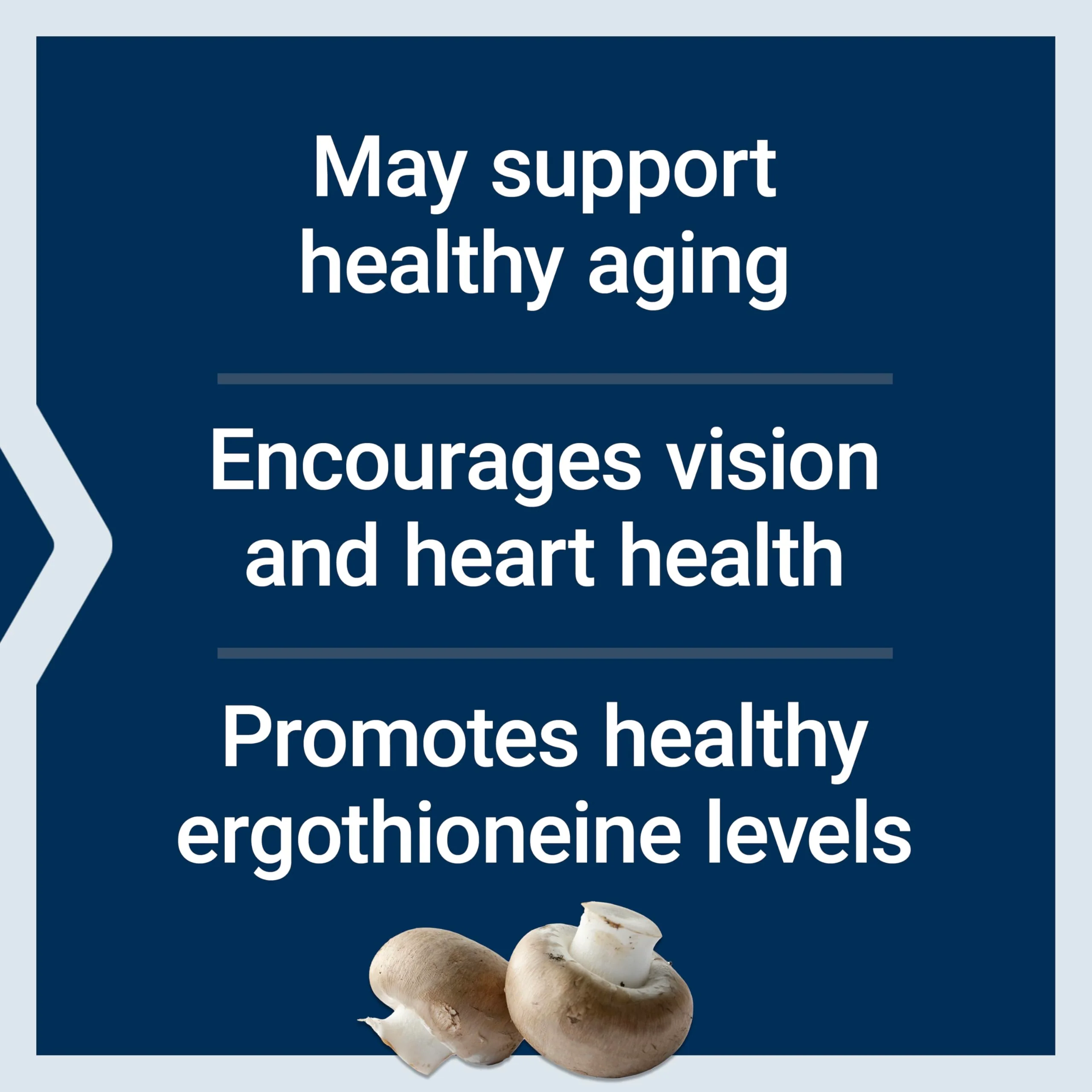 Life Extension Essential Youth L-Ergothioneine – Promotes Longevity & Healthy Aging – Gluten-Free – Non-GMO – Vegetarian – 5 mg – 30 Vegetarian Capsules - Image 8