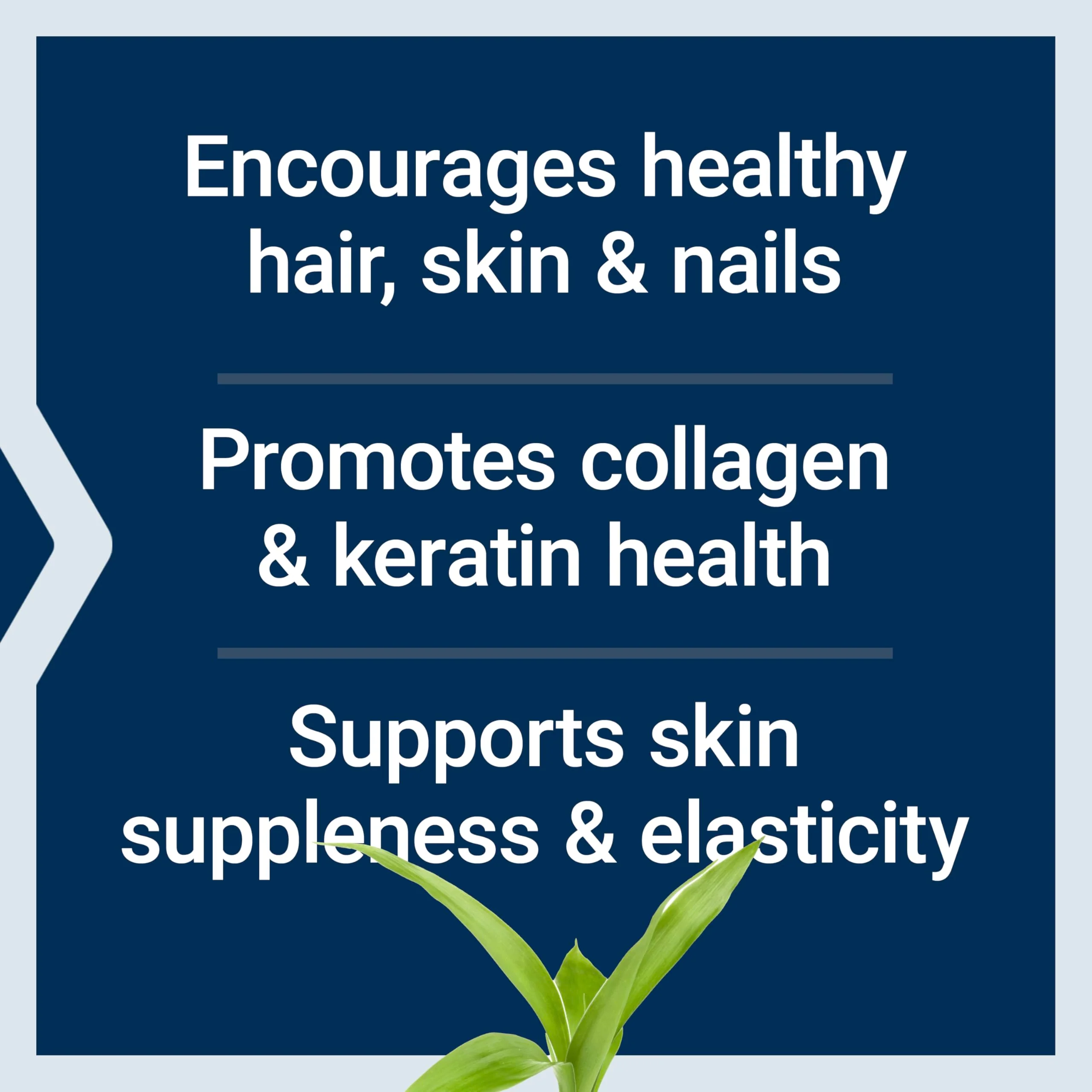 Life Extension Hair, Skin, & Nails- Collagen Plus, 120 Count - Image 9