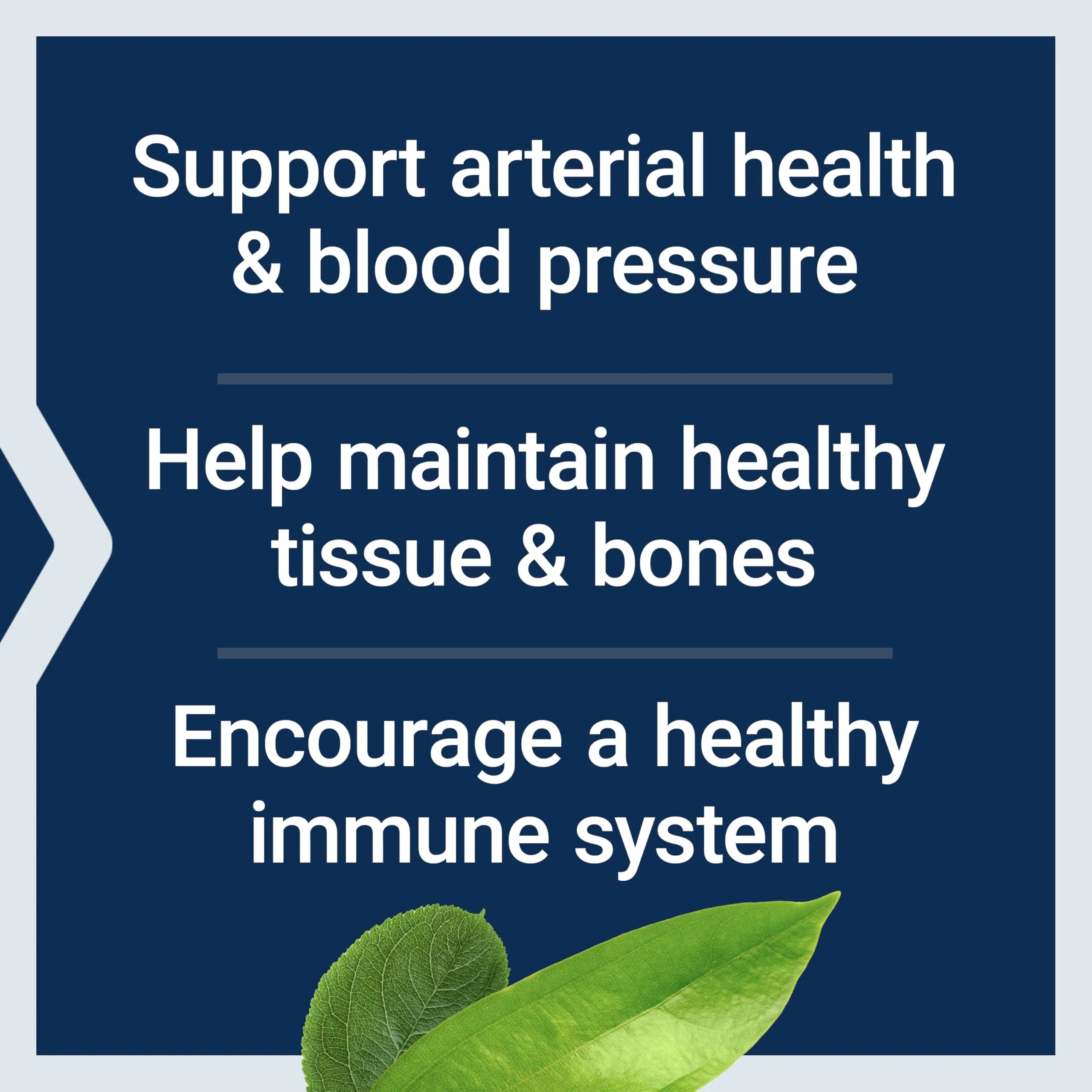 Life Extension L-Arginine Caps, 700 mg, Vitamin C & Amino Acid for Optimal arterial Health, Supports Heart & Immune Health, Healthy Tissue & Bones, Gluten Free, Non-GMO, 200 Capsules - Image 7