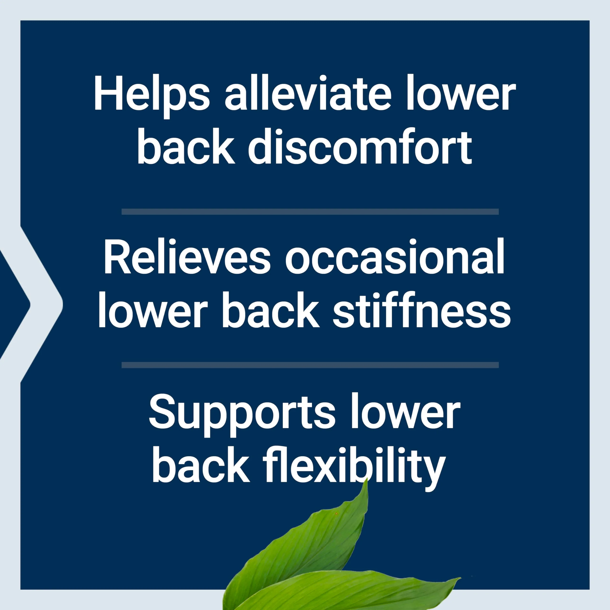 Life Extension Lower Back Relief, Chinese Chaste Tree, Ginger Extract, for Lower Back discomfort and Occasional Stiffness, Non-GMO, Gluten Free, Vegetarian, 60 Capsules - Image 8
