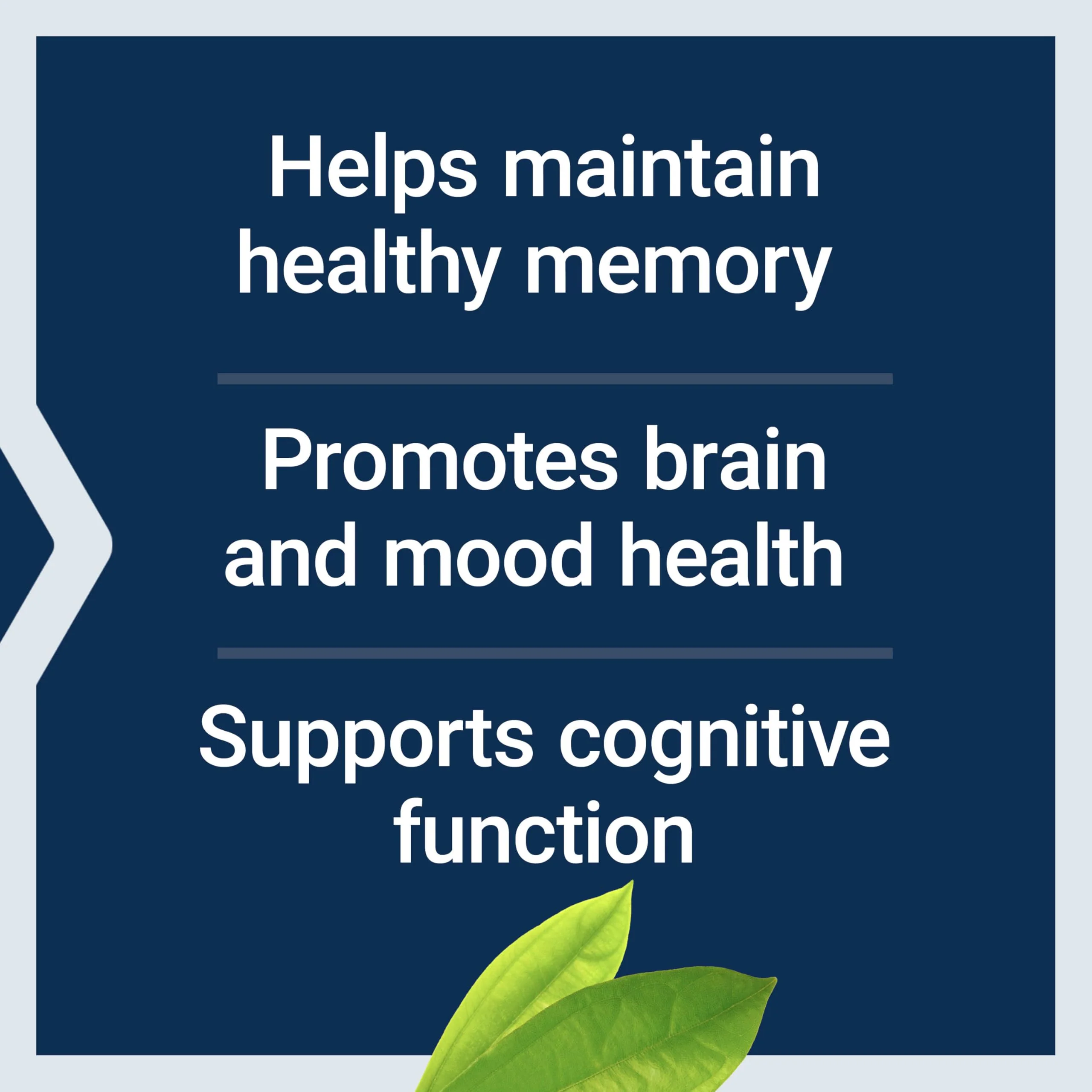 Life Extension Memory Protect, Lithium, colostrinin Milk peptides, Memory and Cognitive Health Support, Gluten-Free, Non-GMO, 12 colostrinin-Lithium (C-Li) Capsules, 24 Lithium (Li) Capsules - Image 6