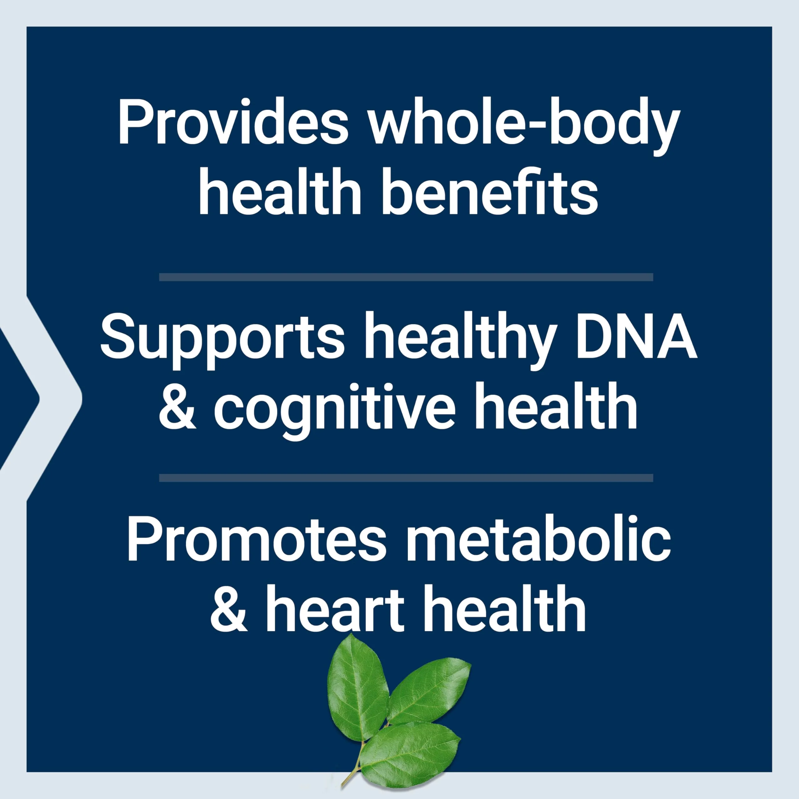 Life Extension Mix™ Capsules, high-Potency, Advanced Vitamin, Mineral, Fruit & Vegetable Formula, Vitamin C, B, D, E, Magnesium, for Whole-Body Health, Healthy Aging, Gluten-Free, 360 Capsules - Image 2