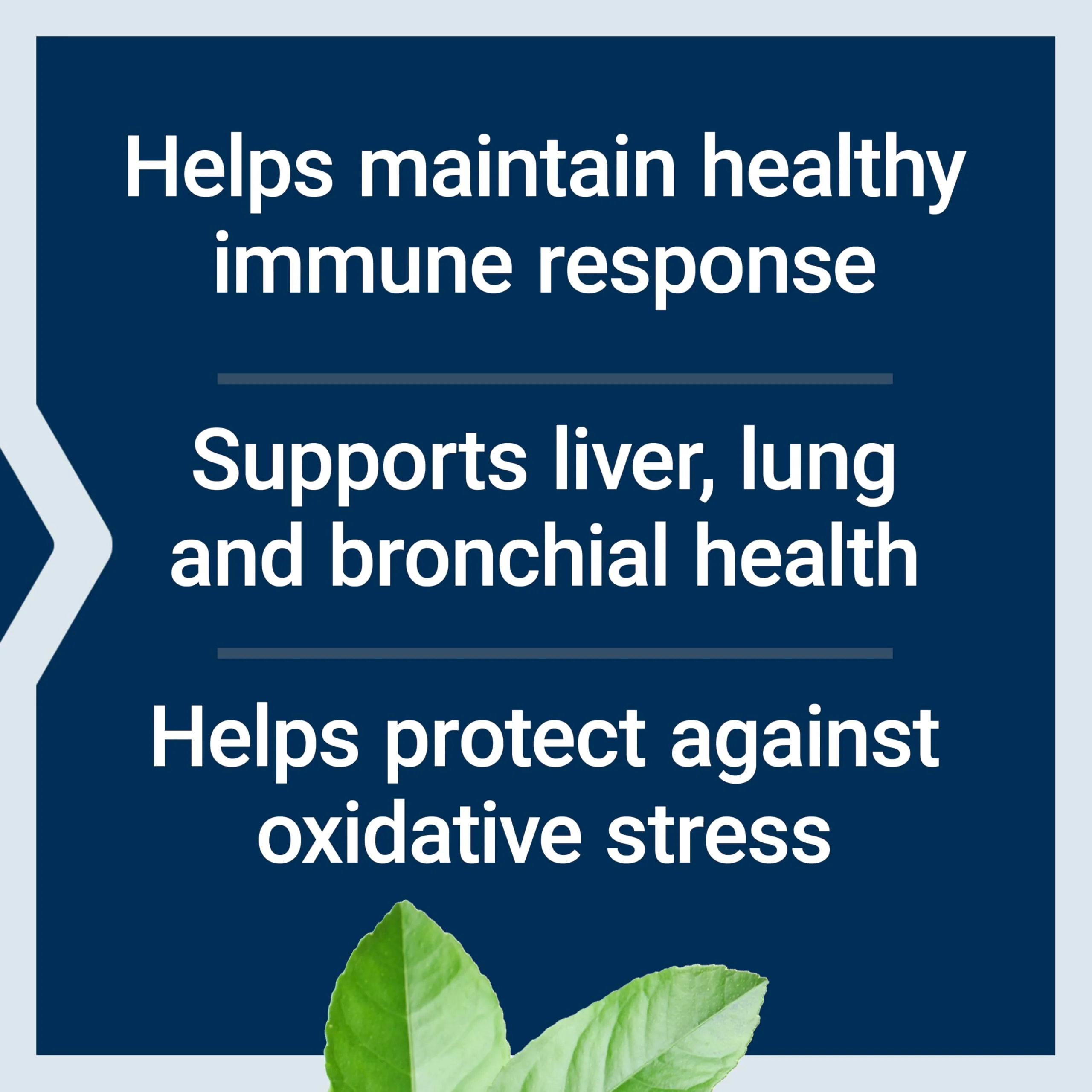 Life Extension N-Acetyl-L-Cysteine (NAC), Immune, Respiratory, Liver Health, NAC 600 mg, Potent antioxidant Support, Free-radicals, Easy to Absorb, 60 Capsules - Image 7