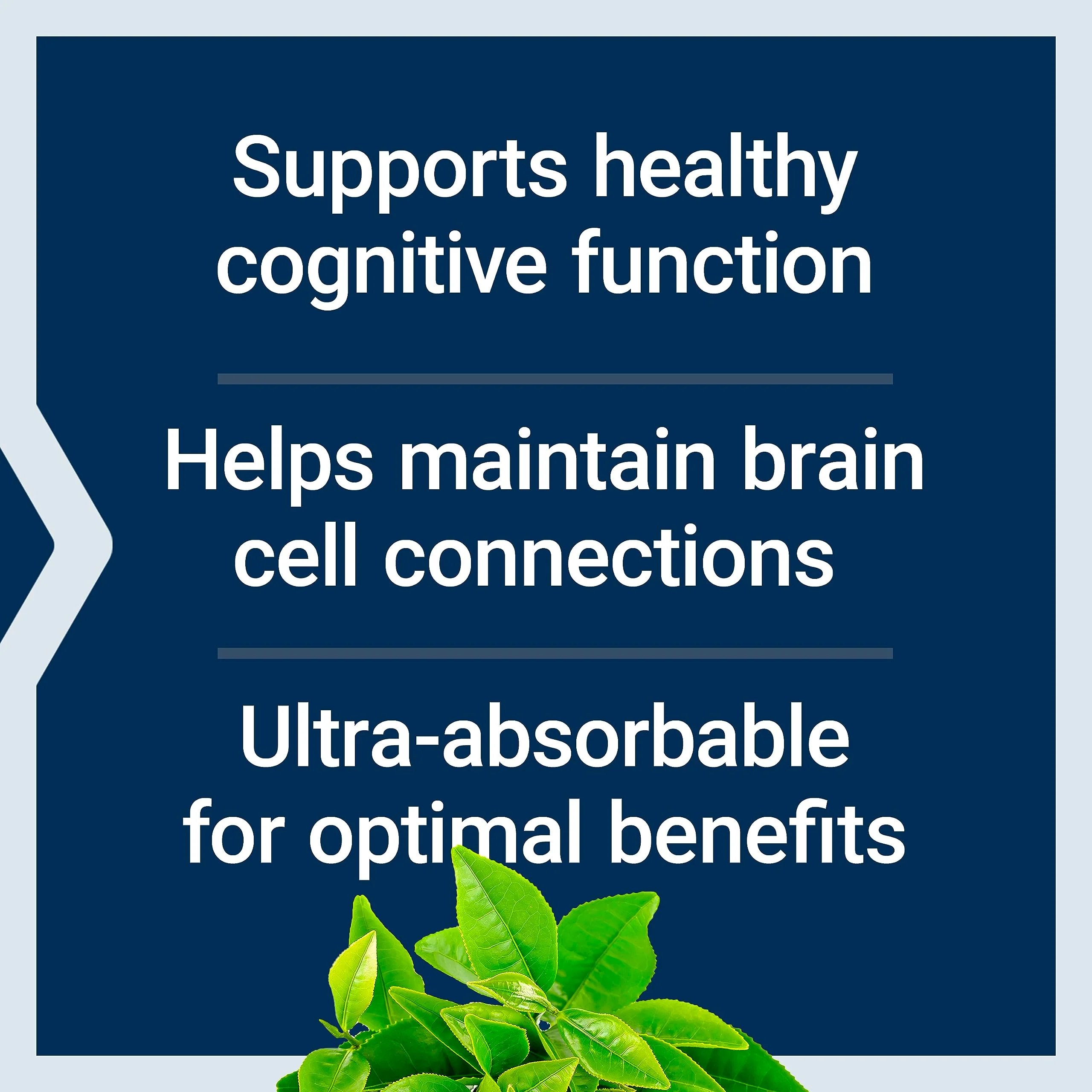 Life Extension Neuro-mag Magnesium L-threonate, Magnesium L-threonate, Brain Health, Memory & Attention, Gluten Free, Vegetarian, Non-GMO, 90 Vegetarian Capsules (Pack of 2) - Image 9