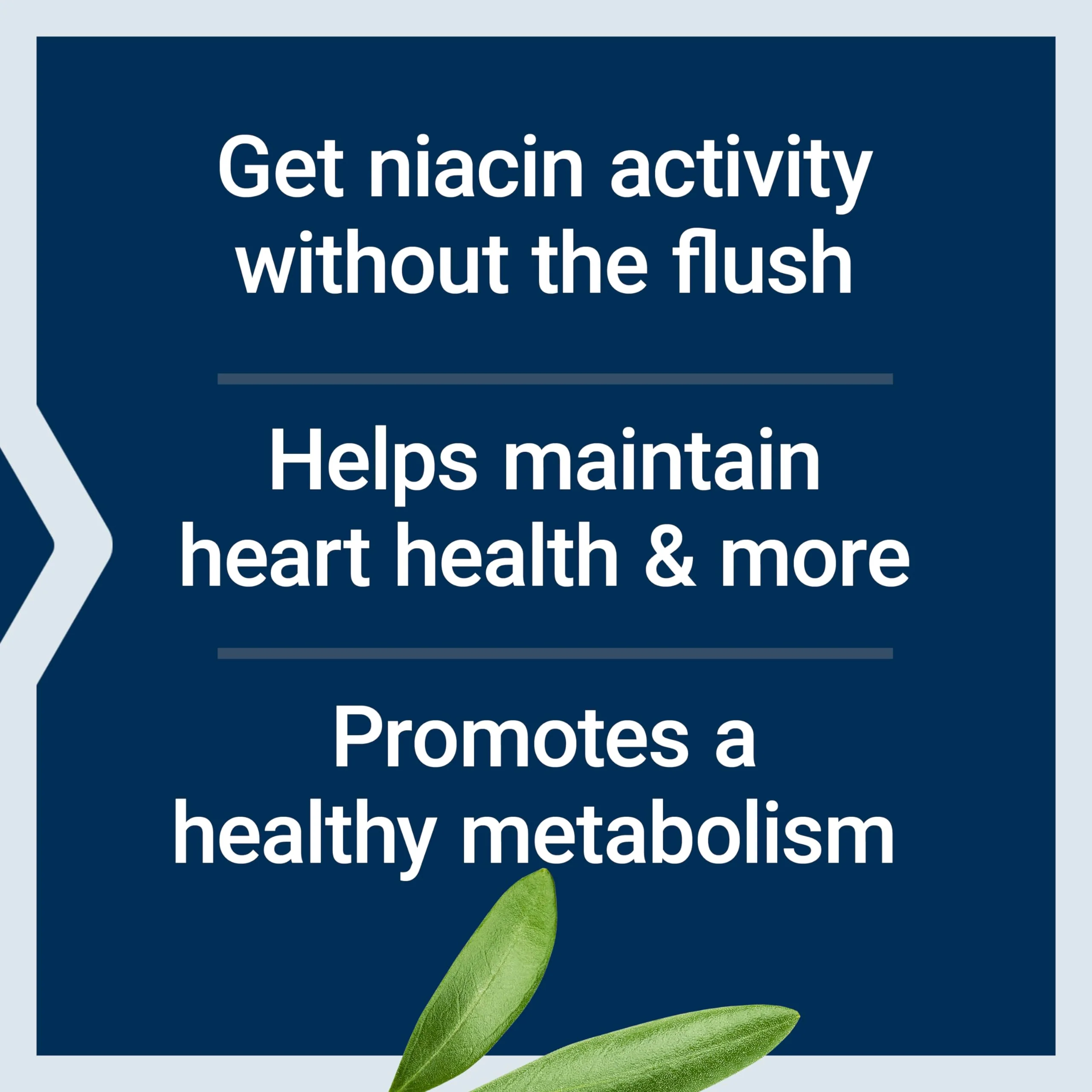 Life Extension No Flush Niacin, B3 for Heart Health, Cholesterol & Energy Support, Non-GMO, Gluten-Free, 100 Capsules - Image 7