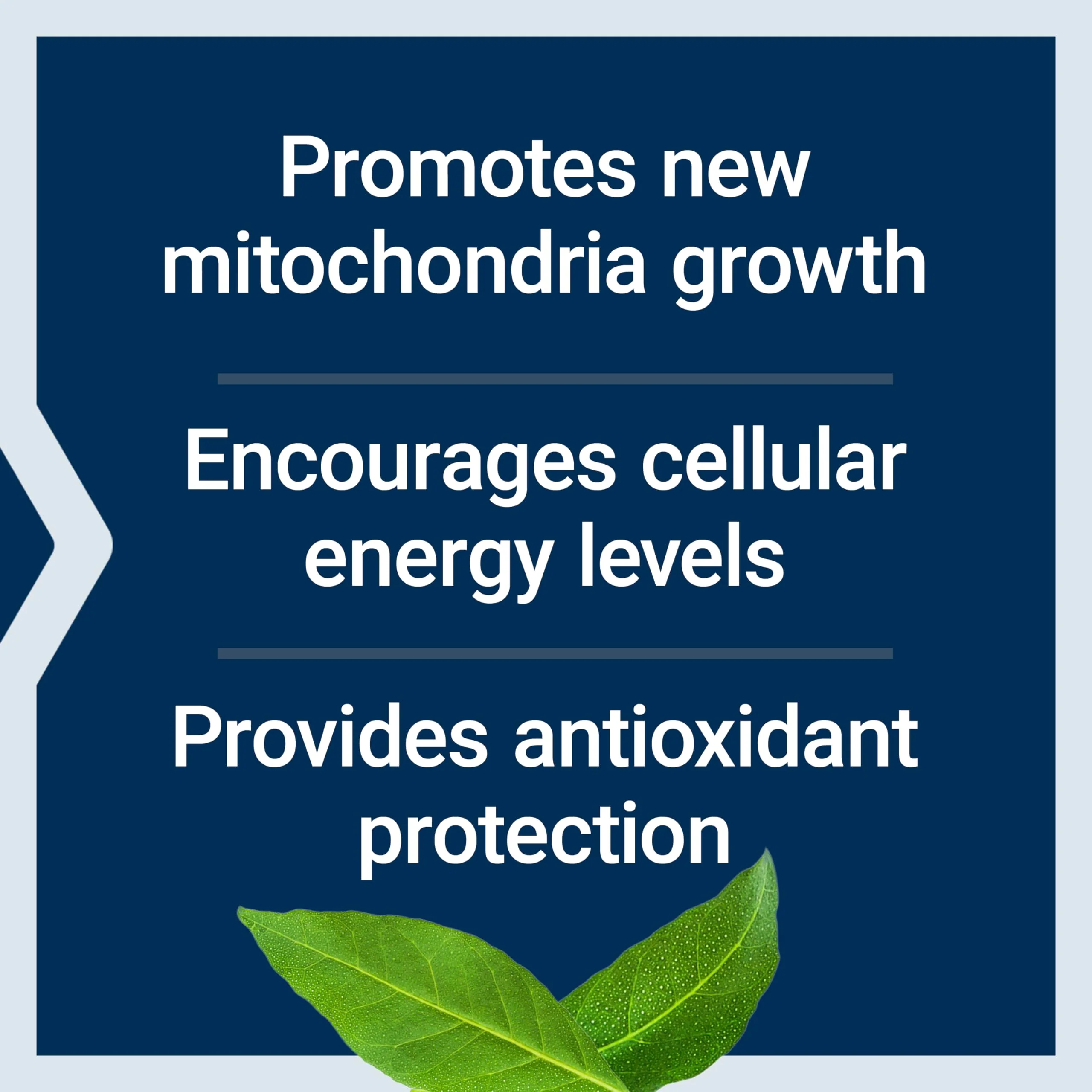 Life Extension PQQ, pyrroloquinoline Quinone, 20 mg, Promotes The Growth of New Mitochondria, Gluten-Free, Non-GMO, Vegetarian, 1 Daily, 30 Capsules - Image 7
