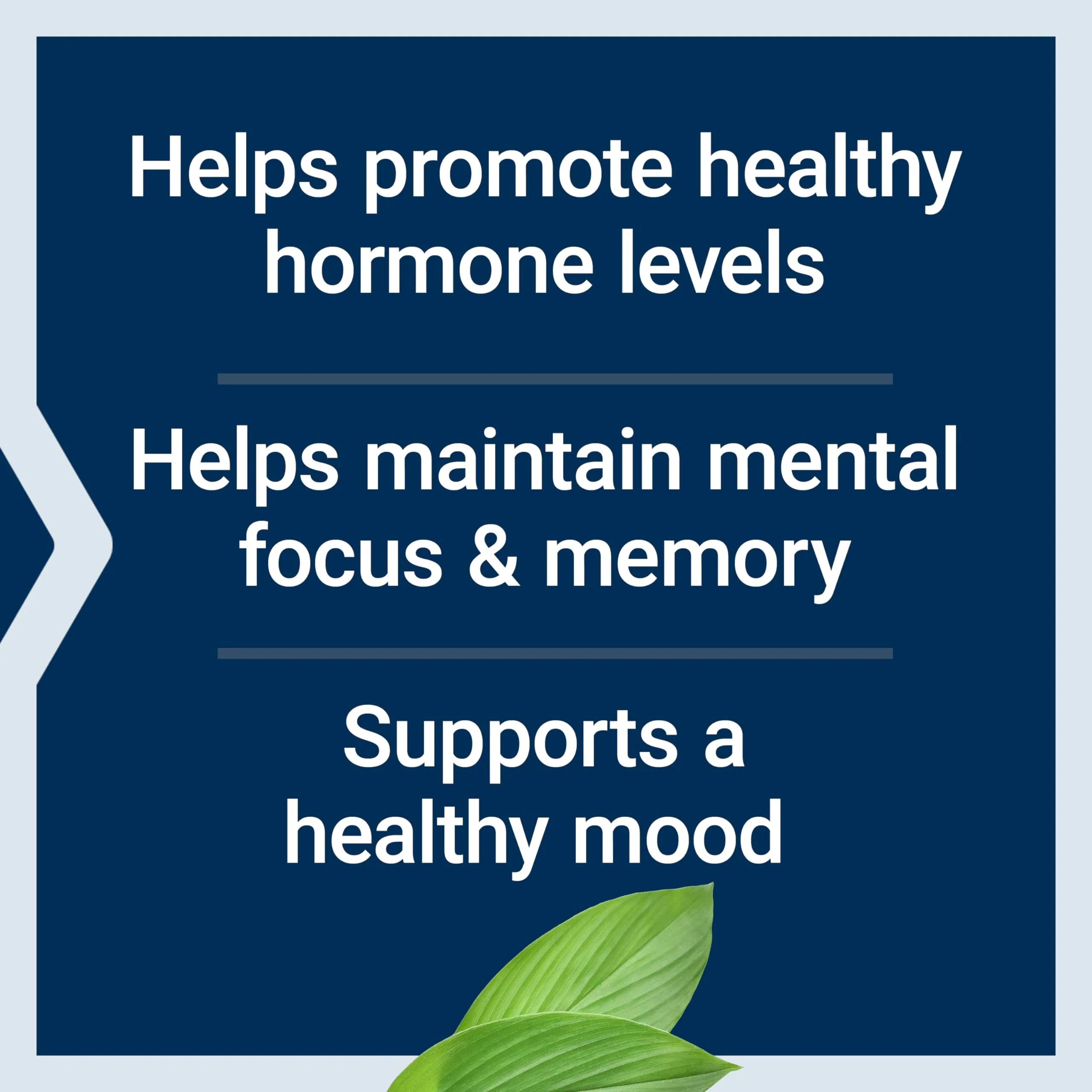 Life Extension Pregnenolone, neurohormone, Promotes Memory Health and Brain Plasticity, Gluten-Free, Non-GMO, 100 Capsules - Image 8