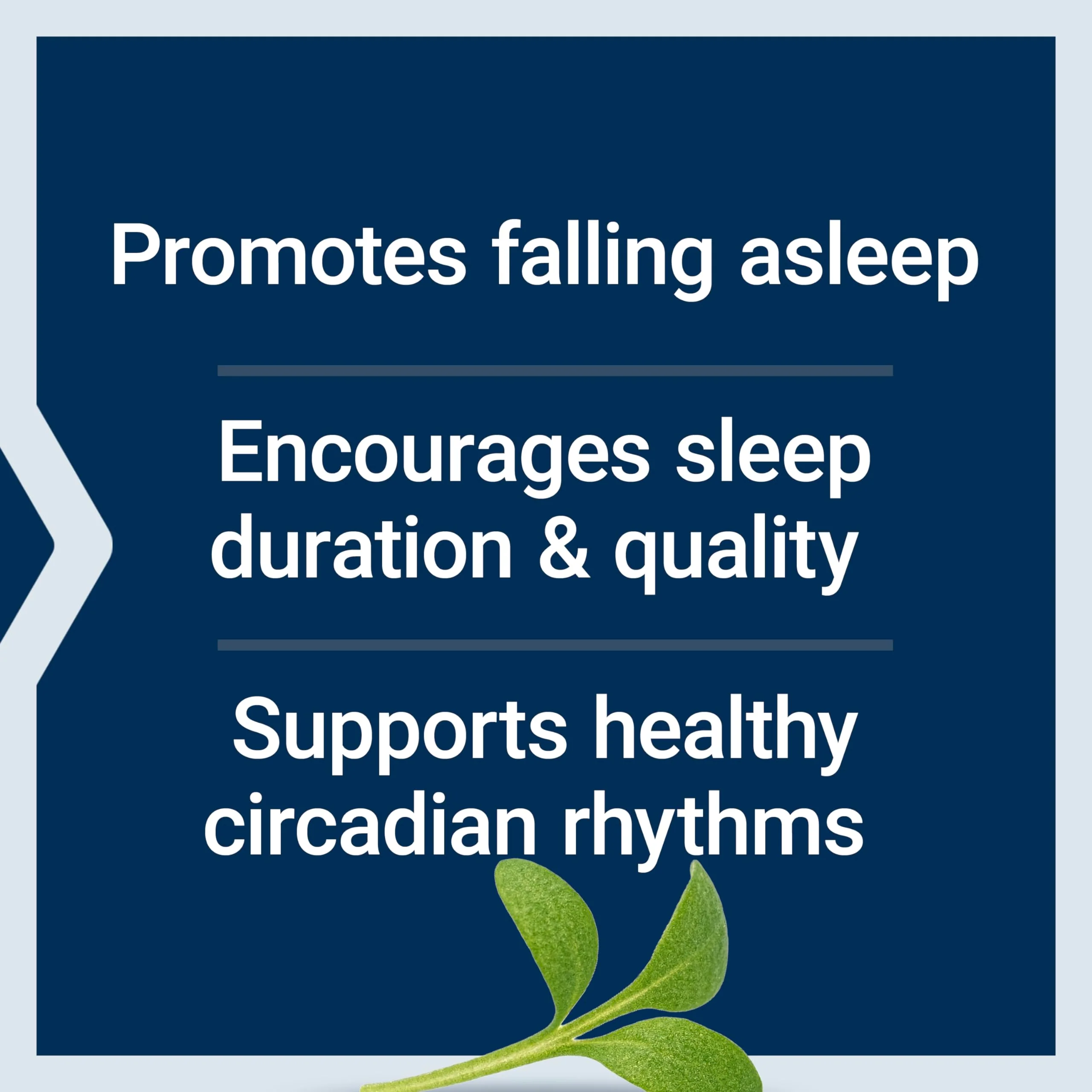 Life Extension Quiet Sleep Melatonin, 5 mg, Powerful Sleep Support, Healthy circadian Rhythms, Cellular Defense, Gluten-Free, Non-GMO, Vegetarian, 60 Capsules - Image 7