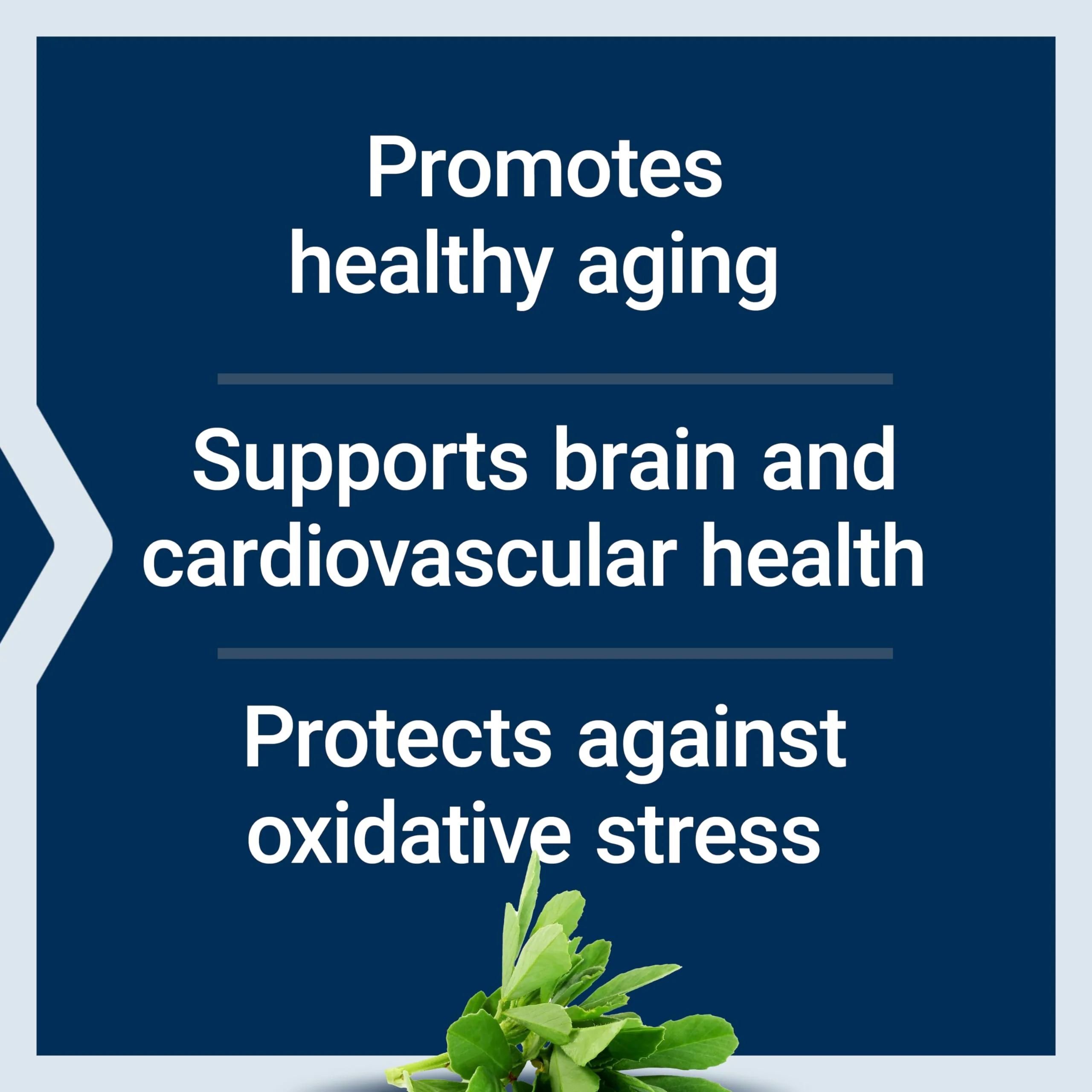 Life Extension Resveratrol Elite, Trans-resveratrol, Healthy Aging, Cardiovascular Health, Brain Health, oxidative Stress, Gluten-Free, Non-GMO, Vegetarian, 30 Capsules - Image 8