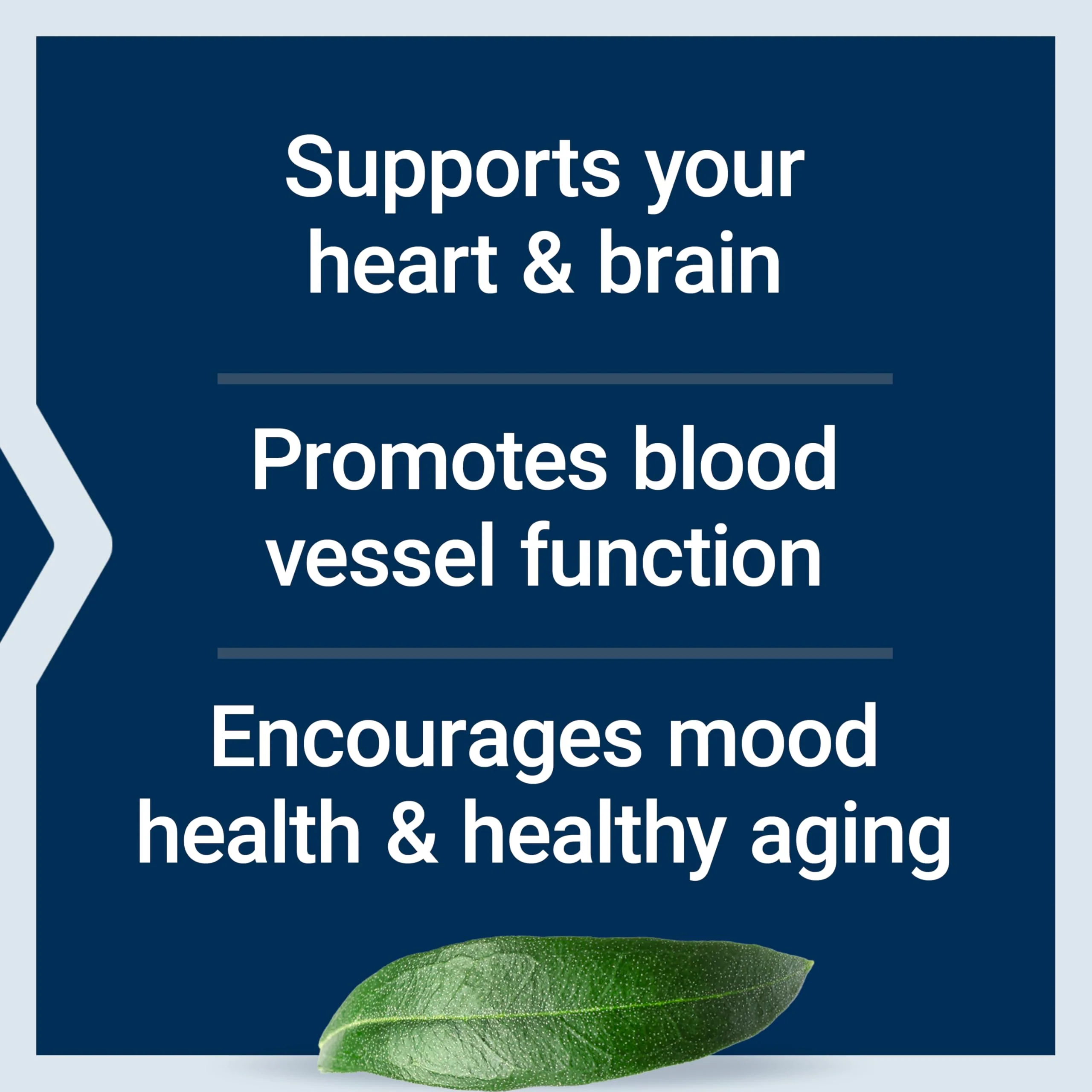 Life Extension Super Omega-3 EPA/DHA Fish Oil, Sesame Lignans & Olive Extract – Heart Health, Brain Health, Inflammation Health Support, Gluten-Free, Easy to Swallow, Non-GMO, 240 Softgels - Image 9