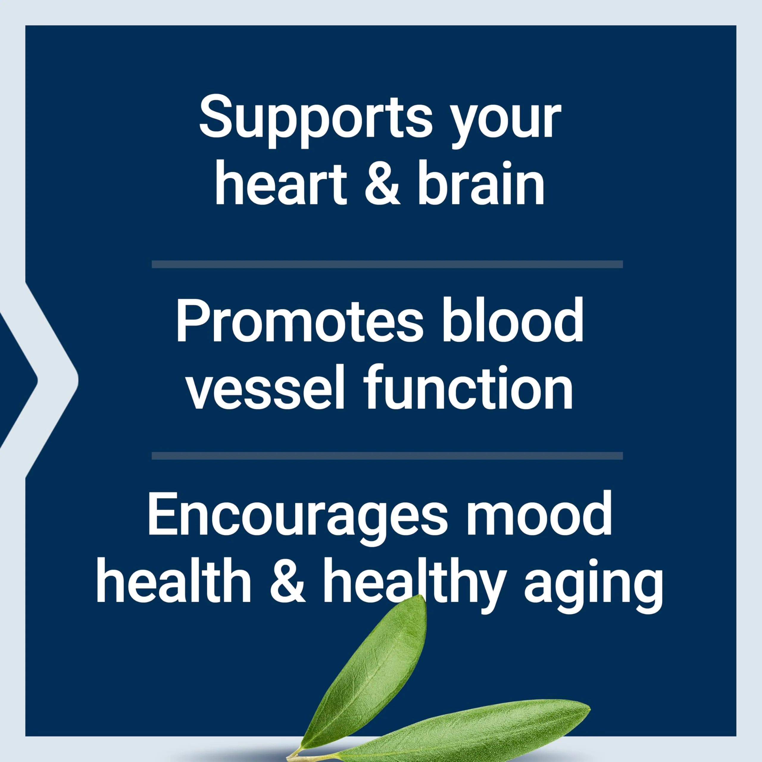 Life Extension Super Omega-3 EPA/DHA Fish Oil, Sesame Lignans & Olive Extract – Heart Health, Brain Health, Inflammation Health Support, Gluten-Free, Enteric-Coated, Non-GMO, 120 Softgels - Image 7
