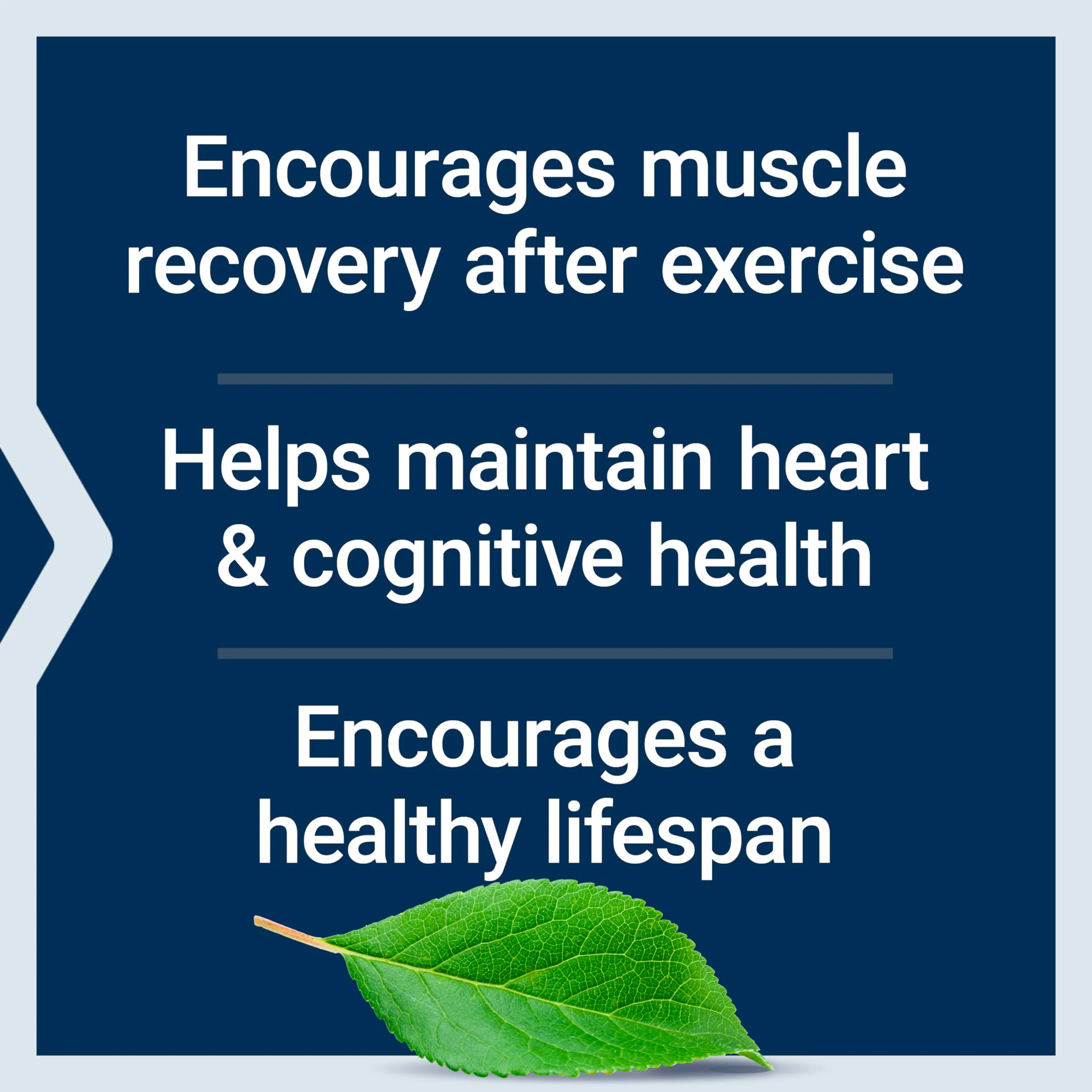 Life Extension Taurine, Pure Taurine Amino Acid Supplement, Heart, Liver and Brain Health, Longevity, Muscle and Exercise, 1000 mg dose, Non-GMO, Gluten-Free - Two Pack - 90 Vegetarian Capsules x 2 - Image 8