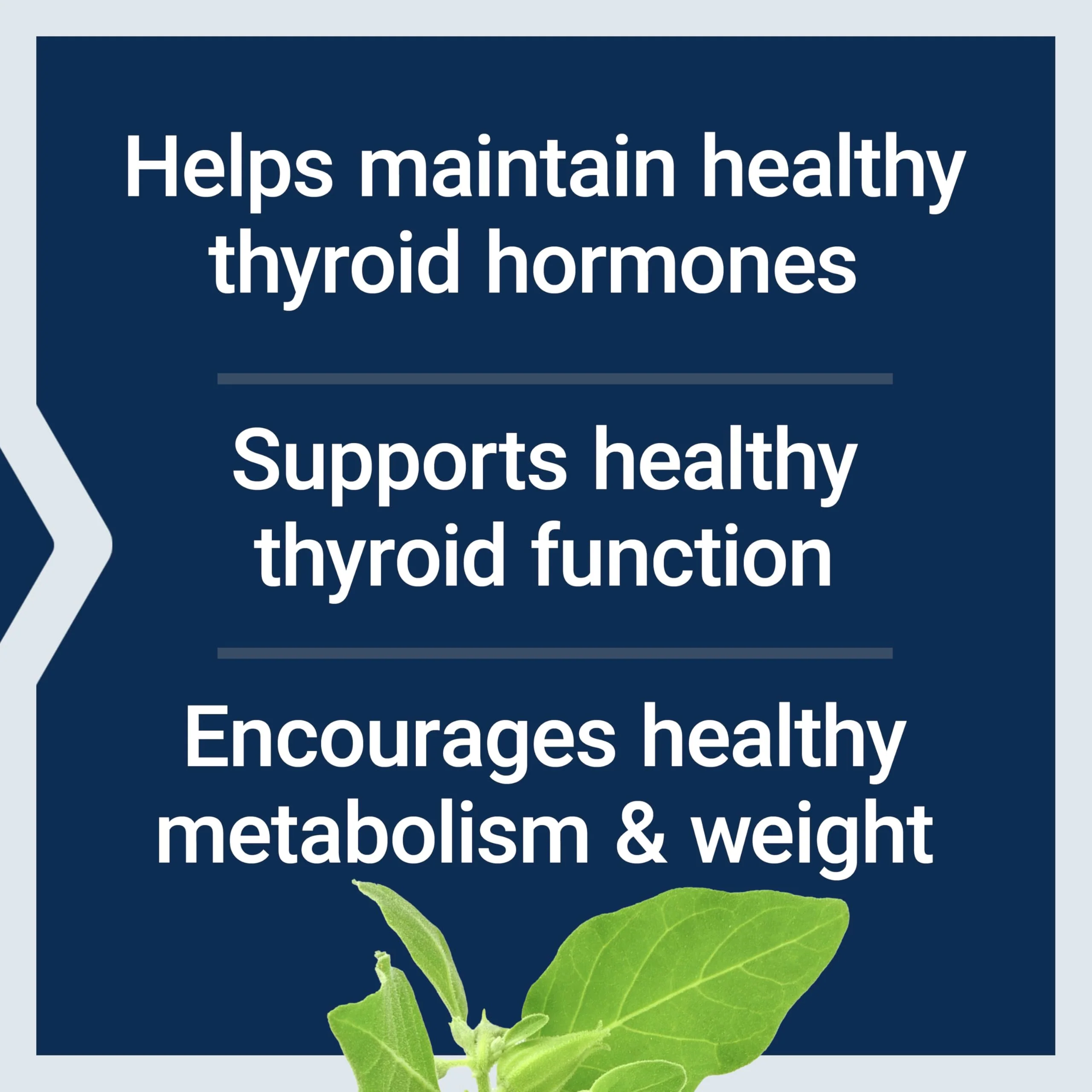 Life Extension Thyroid Support Complex - Thyroid Health Support Supplement with Vitamins A, B, Iodine, Magnesium, L-Tyrosine, Ashwagandha & Ginseng for Energy – Non-GMO, Gluten-Free - 60 Capsules - Image 12