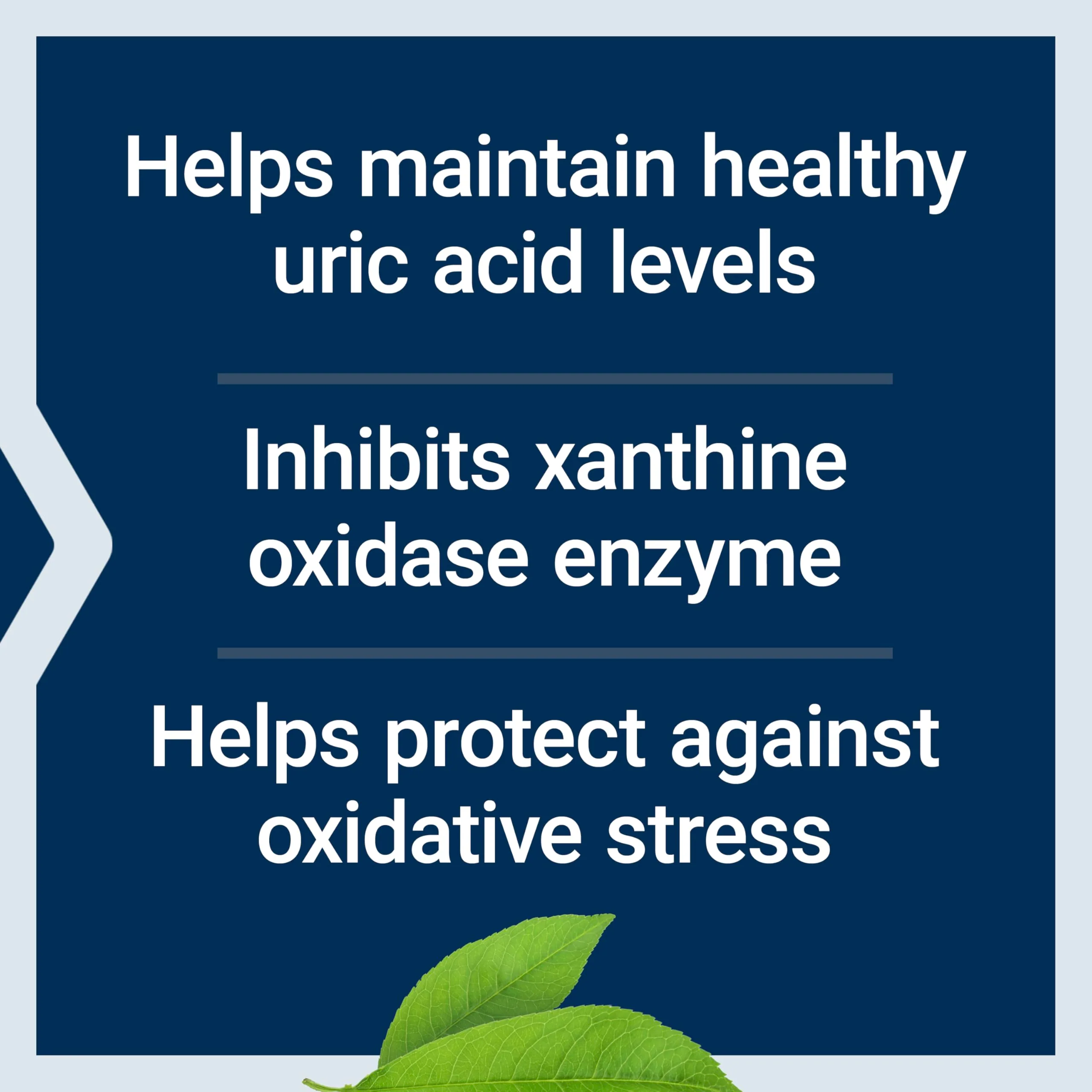 Life Extension Uric Acid Control, Promotes Healthy uric Acid Balance, Joint Health, discomfort Relief, Gluten Free, Non-GMO, Vegetarian, 60 Capsules - Image 7