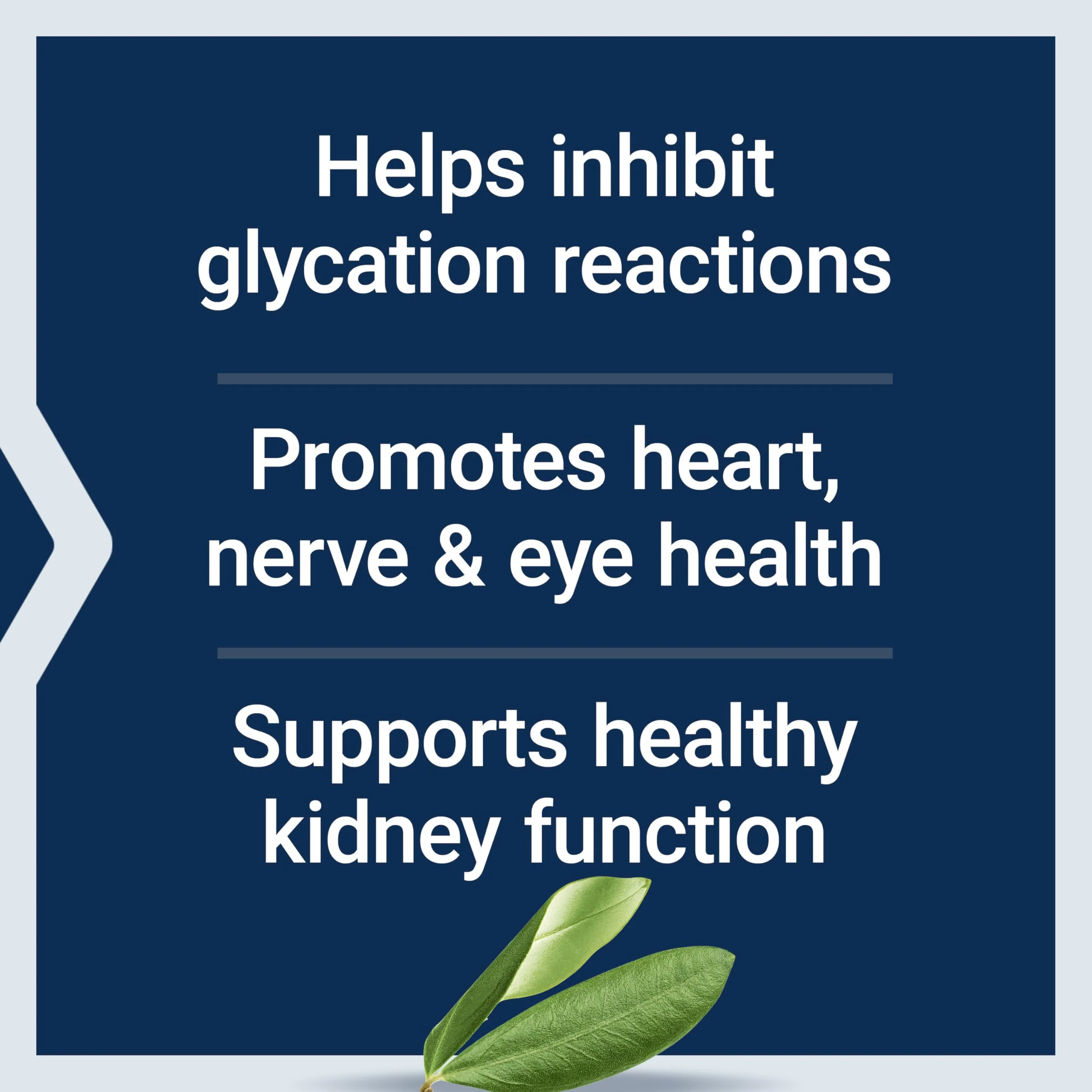 Life Extension Vitamin B6, 250 mg, high Potency, Cardiovascular Health, neurological Health, Eye Health, Healthy Kidney Function, Gluten-Free, Non-GMO, Vegetarian, 100 Capsules - Image 7
