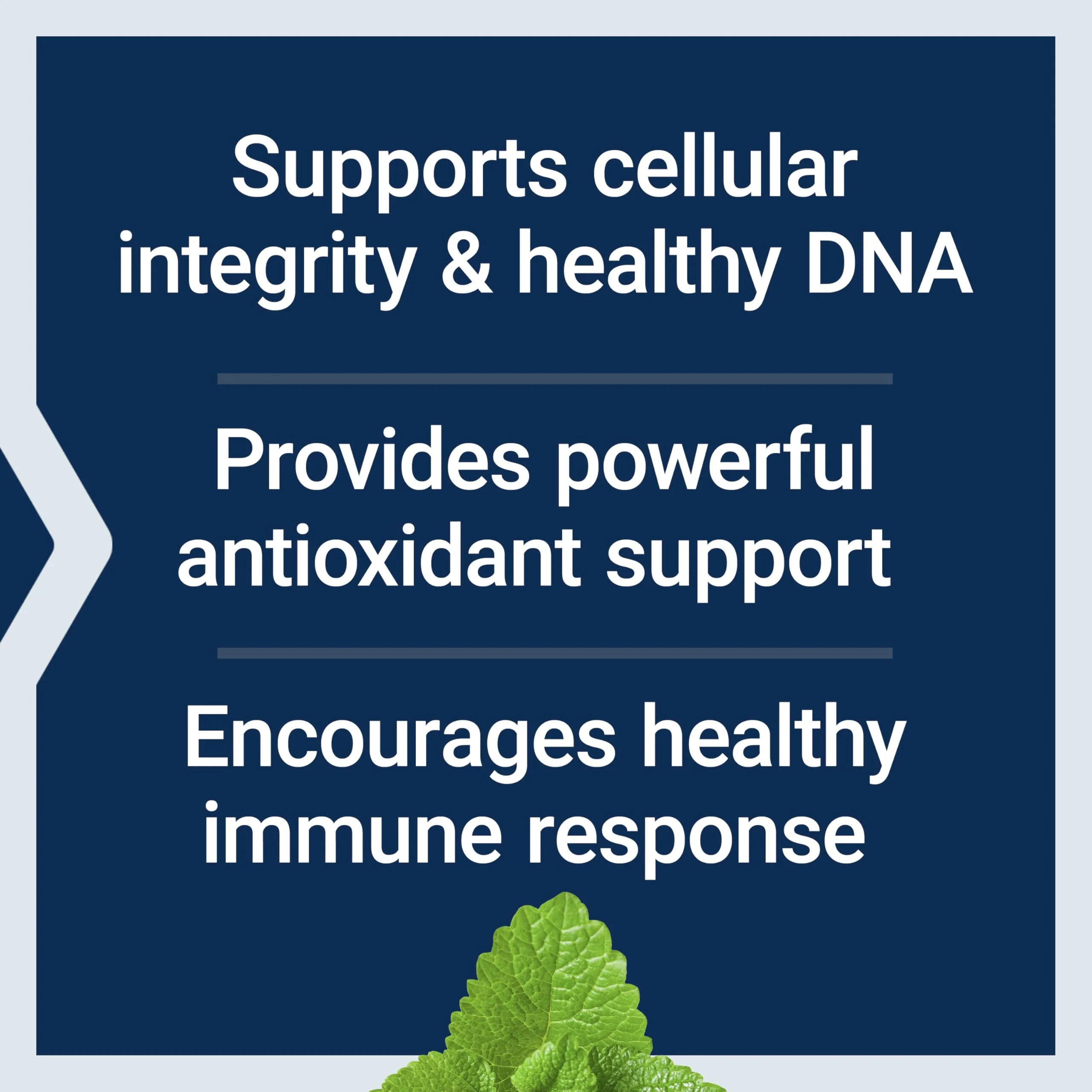 Life Extension X-R Shield, spirulina, Lemon Balm, Ginkgo biloba, Supports Cellular Integrity & DNA Health, Encourages Healthy Immune Response, Gluten-Free, Non-GMO, Vegetarian, 90 Capsules - Image 7