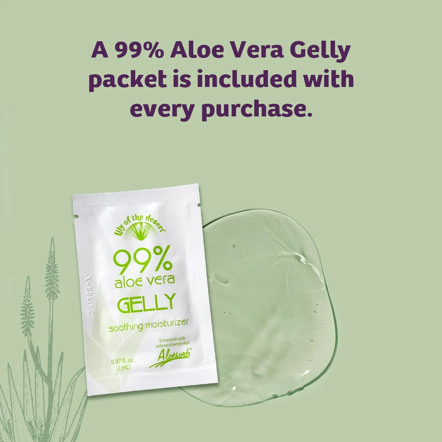 Lily Of The Desert Gelly Moisturizer 4 Oz - 99% Organic Aloe Vera Gel with Vitamin C, E, and A, After Sun Skin Care, Sunburn Relief - Image 2