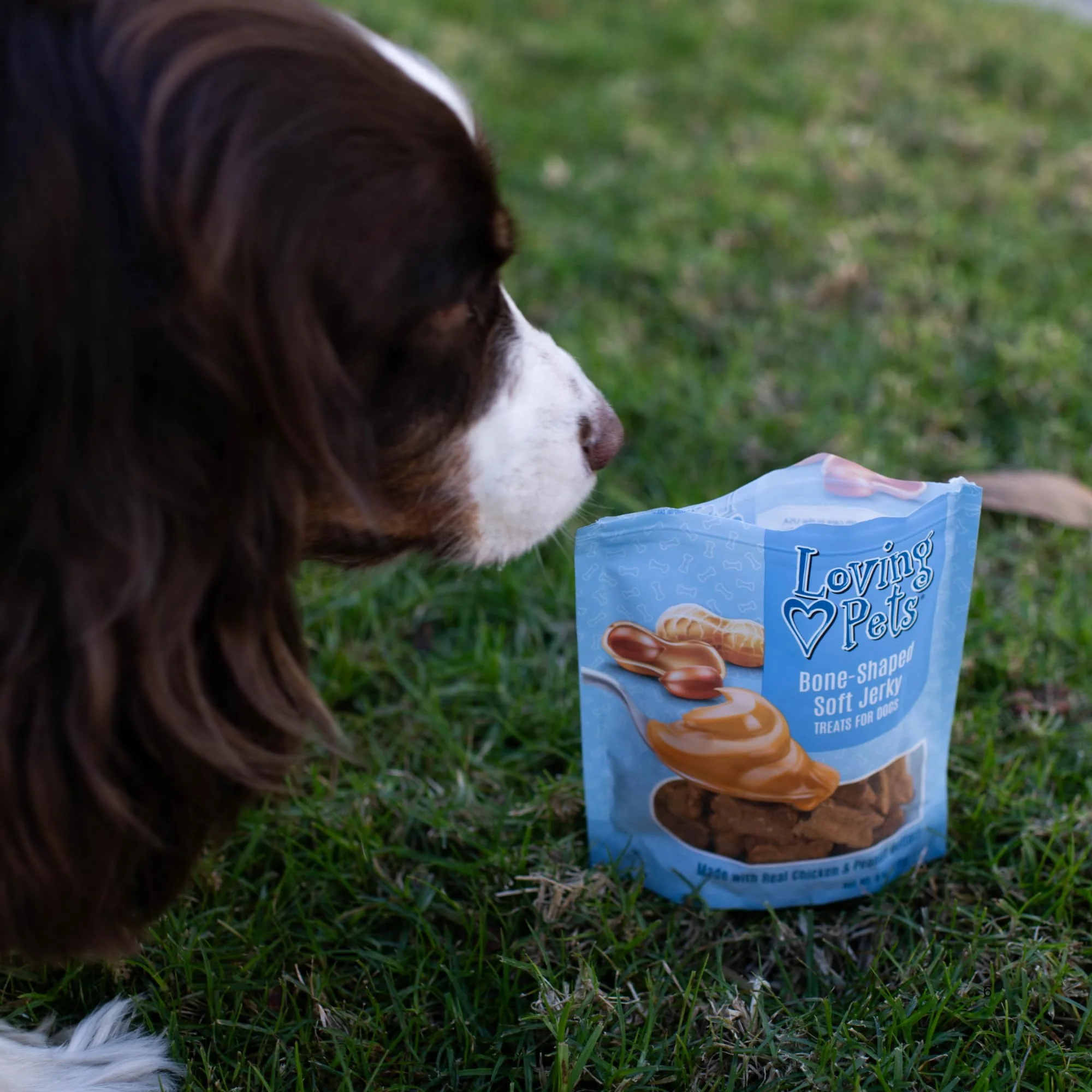 Loving Pets Soft Jerky Dog Treats – Real USA-Sourced Meat Dog Snacks for Training, Puppies & Everyday Reward – Soft, Chewy Dog Treats for Small, Medium & Large Dogs – Wheat & Corn Free - Image 4