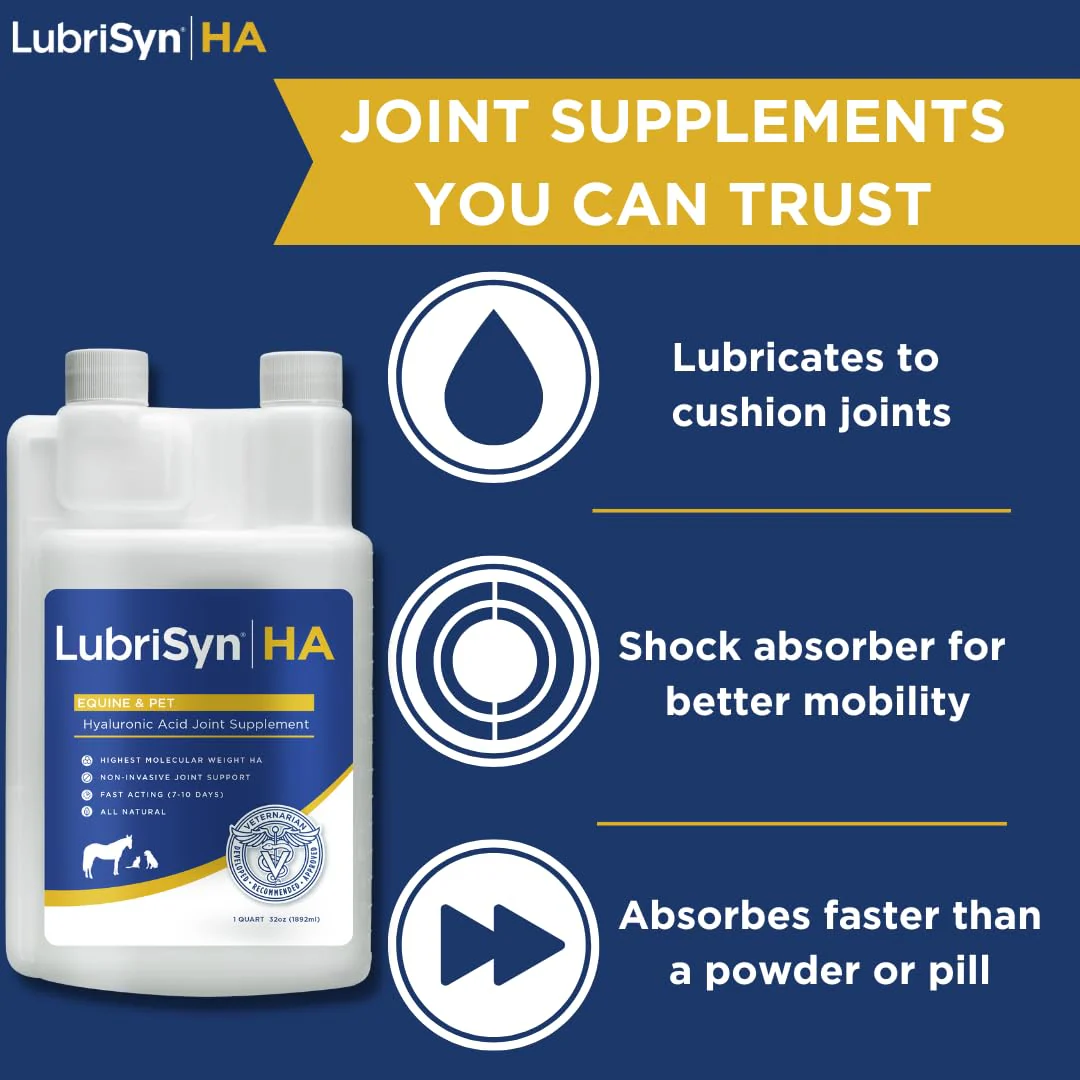 LubriSynHA Hyaluronic Acid Hip & Joint Care Supplement for Dogs, Cats & Horses – Liquid Oral HA for Pets – Joint Support Supplement Promotes Mobility, Flexibility, Cartilage Health & Comfort – 32oz - Image 6