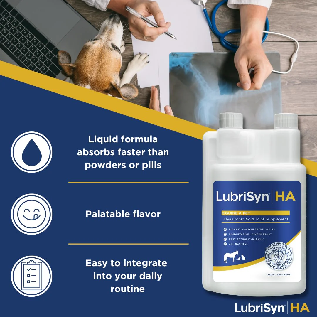 LubriSynHA Hyaluronic Acid Hip & Joint Care Supplement for Dogs, Cats & Horses – Liquid Oral HA for Pets – Joint Support Supplement Promotes Mobility, Flexibility, Cartilage Health & Comfort – 32oz - Image 7