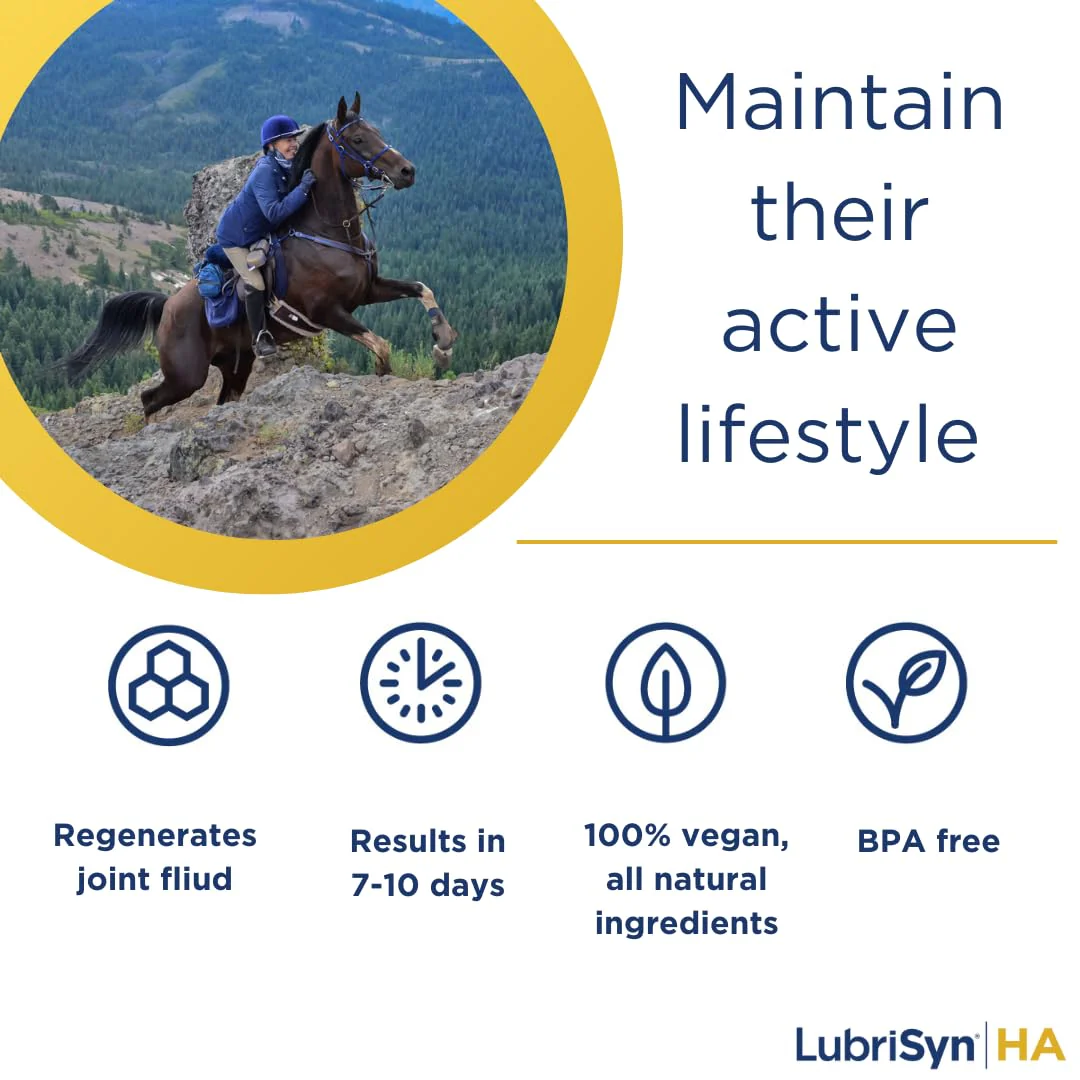 LubriSynHA Hyaluronic Acid with MSM Hip & Joint Care Supplement for Dogs, Cats & Horses – Liquid Oral HA for Pets – Joint Support Promotes Mobility, Flexibility, Cartilage Health & Comfort – 16oz - Image 3