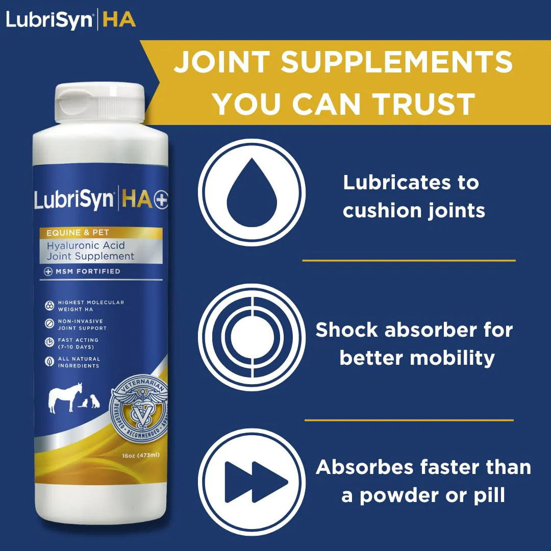 LubriSynHA Hyaluronic Acid with MSM Hip & Joint Care Supplement for Dogs, Cats & Horses – Liquid Oral HA for Pets – Joint Support Promotes Mobility, Flexibility, Cartilage Health & Comfort – 16oz - Image 6