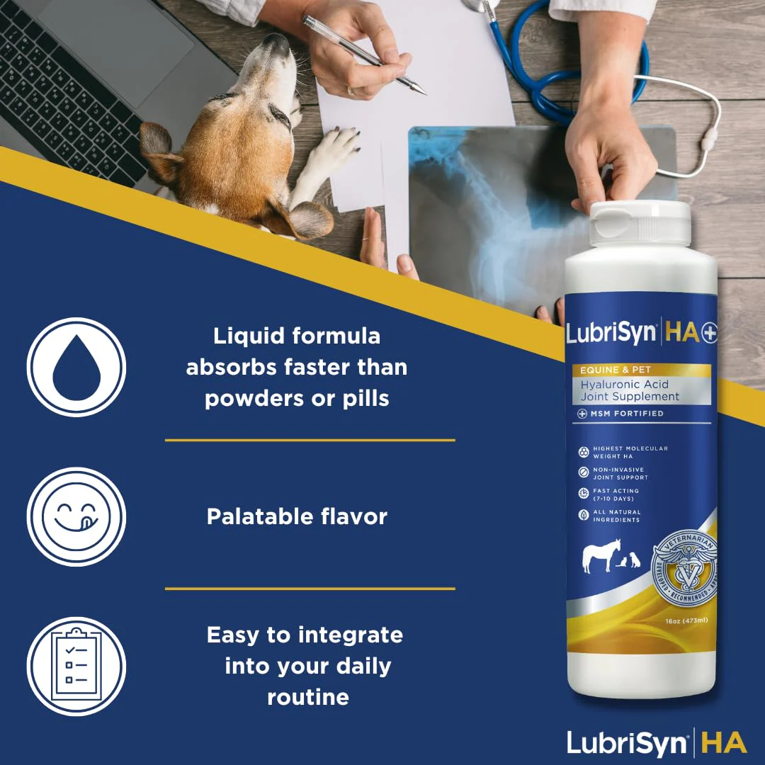 LubriSynHA Hyaluronic Acid with MSM Hip & Joint Care Supplement for Dogs, Cats & Horses – Liquid Oral HA for Pets – Joint Support Promotes Mobility, Flexibility, Cartilage Health & Comfort – 16oz - Image 7