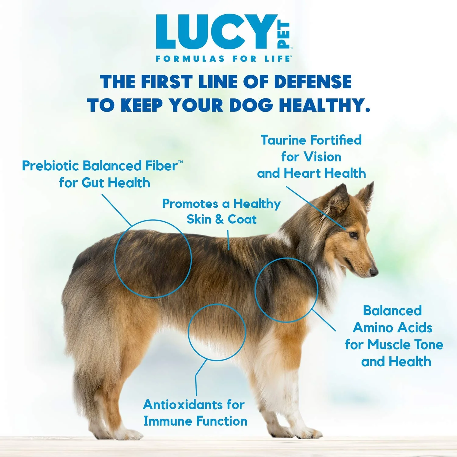 Lucy Pet Formulas for Life Salmon, Pumpkin, & Quinoa Dry Dog Food, All Life Stages, Digestive Health, Sensitive Stomach & Skin, 25lb bag - Image 6
