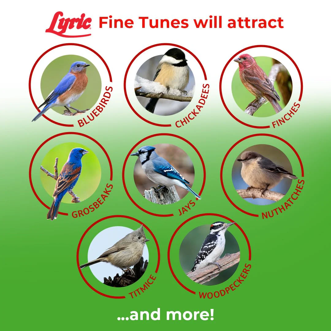 Lyric Fine Tunes Wild Bird Seed Mix - No Waste Bird Food Mix - Attracts Bluebirds, Finches, Chickadees & More - Seed for Outside Feeders - 15 lb Bag - Image 6