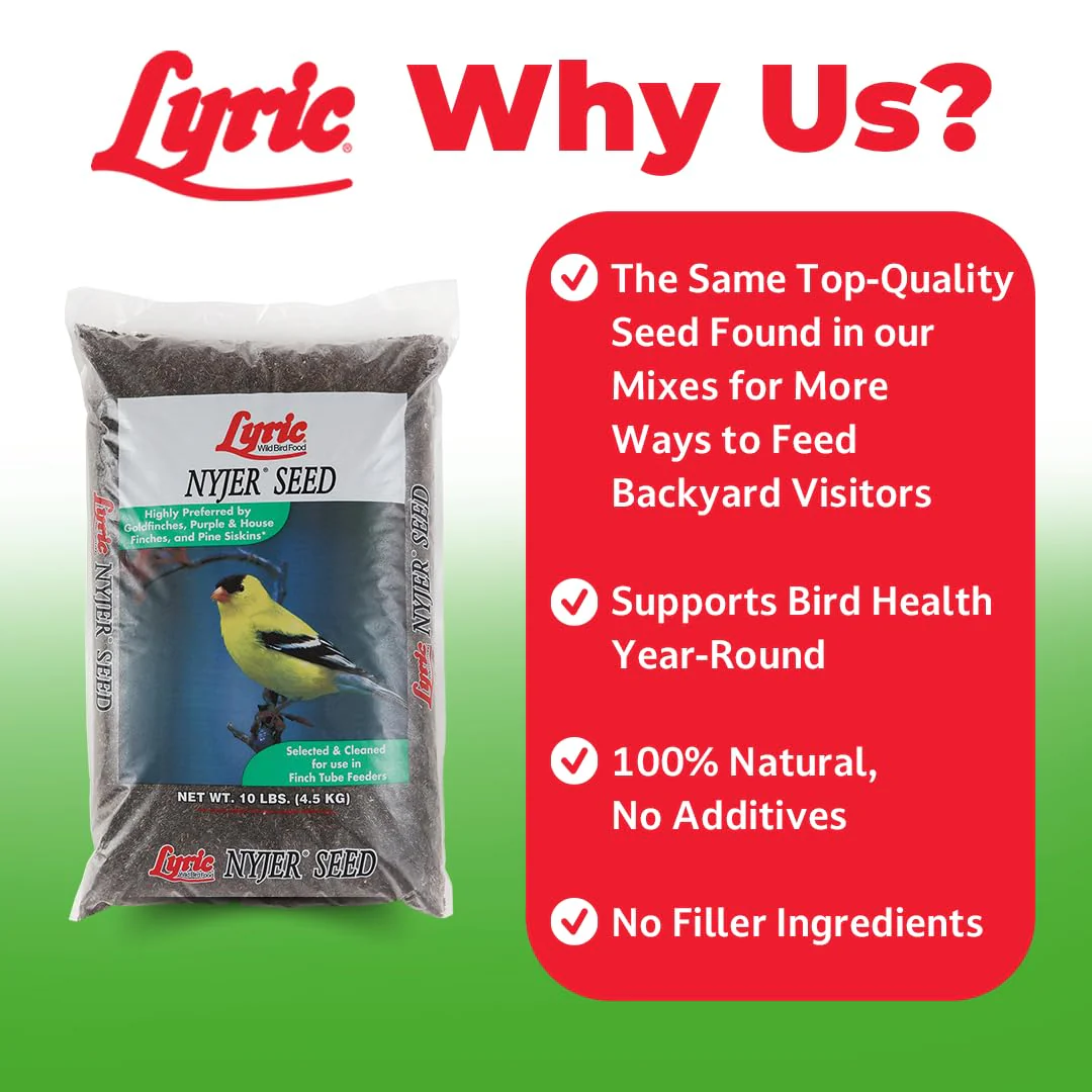 Lyric Nyjer Seed - 3 lb. Bag - Image 7