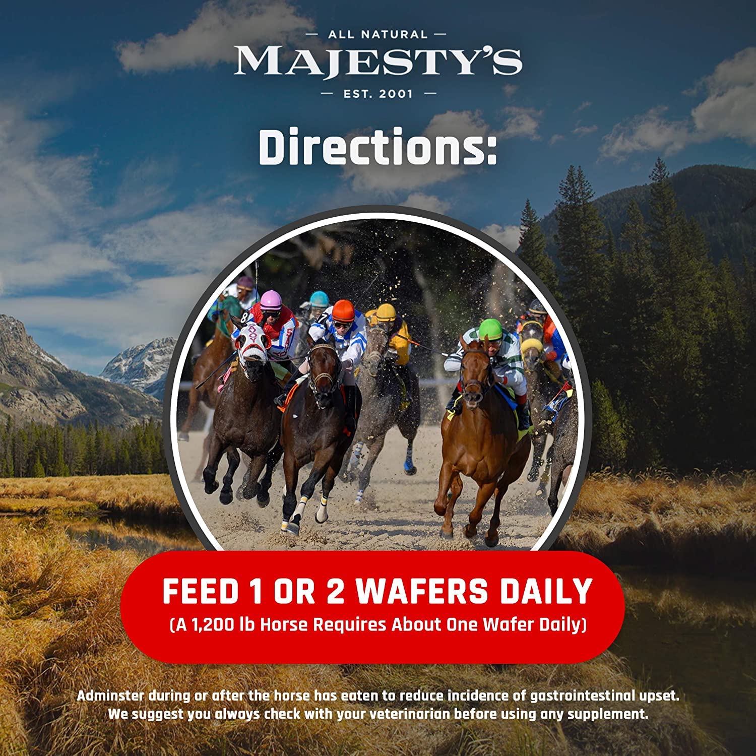 Majesty's Biotin Wafers - Superior Horse / Equine Hoof and Coat Support Supplement - Copper, Zinc, Lysine, Methionine - 30 Count (1 Month Supply) - Image 6