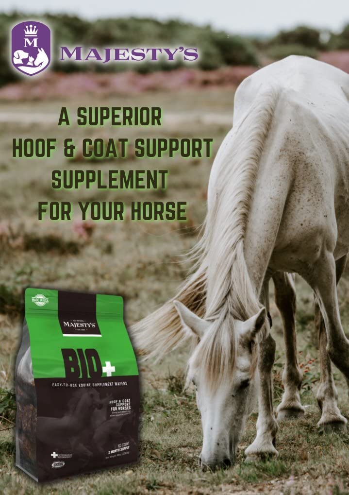 Majesty's Biotin Wafers - Superior Horse / Equine Hoof and Coat Support Supplement - Copper, Zinc, Lysine, Methionine - 30 Count (1 Month Supply) - Image 7
