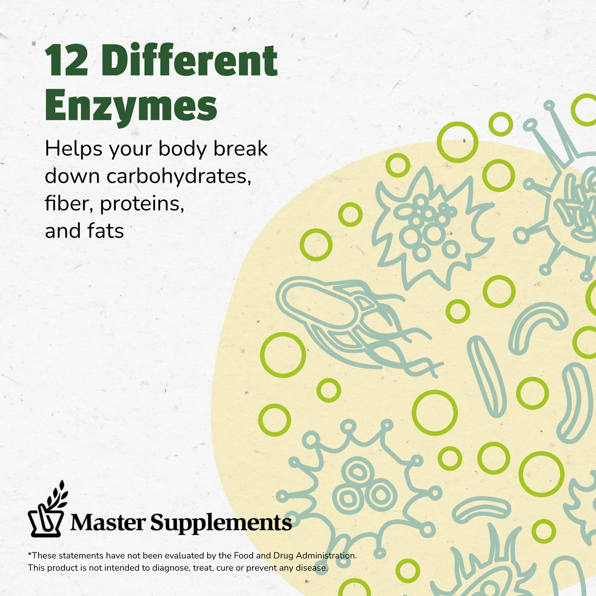 Master Supplements Enzalase - 50 Capsules - Probiotic Compatible Enzymes - Provides Digestive Boost + Gas & Bloating Relief - Gluten Free - 50 Servings - Image 5