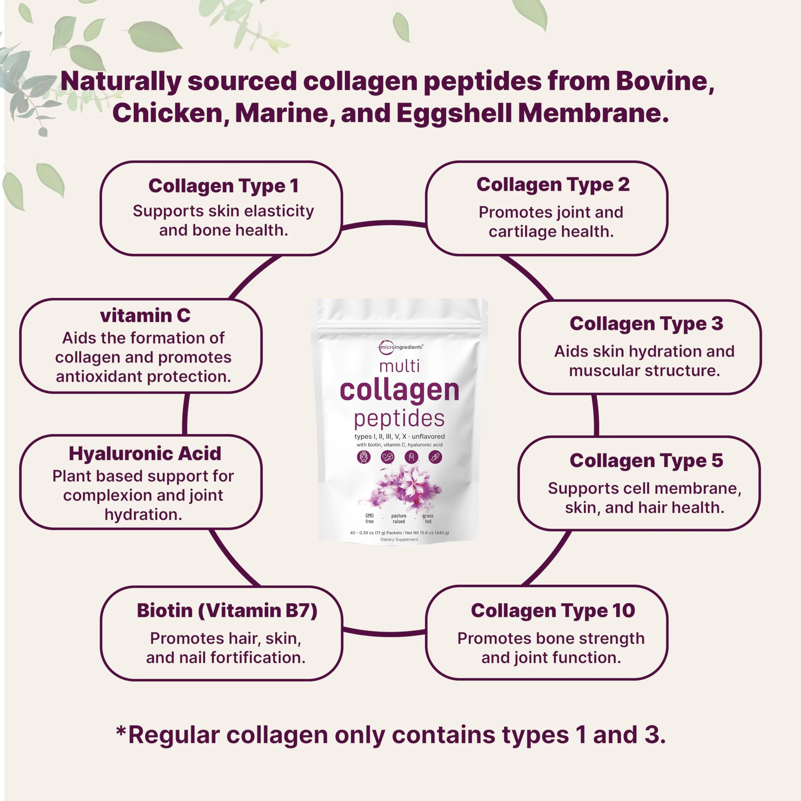 Micro Ingredients Multi Collagen Peptides Powder, 40 Stick Packs | Type I, II, III, V, X + Biotin, Vitamin C & Hyaluronic Acid | Unflavored | Supports Hair, Skin & Joint Health | Keto, Non-GMO - Image 5