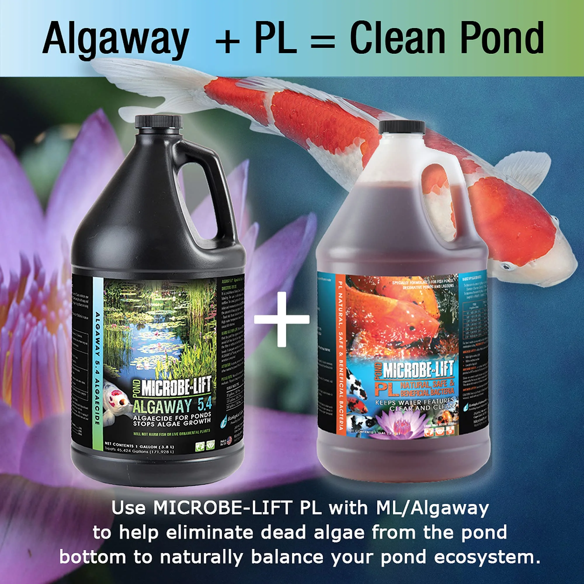 MICROBE-LIFT ALGA16 Algaway 5.4 Algae Control Treatment for Ponds and Water Gardens, Safe for Koi Fish, Goldfish, Plants, and Decorations, 16 Ounces - Image 2