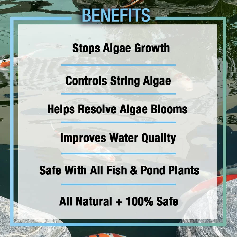 MICROBE-LIFT ALGA16 Algaway 5.4 Algae Control Treatment for Ponds and Water Gardens, Safe for Koi Fish, Goldfish, Plants, and Decorations, 16 Ounces - Image 4