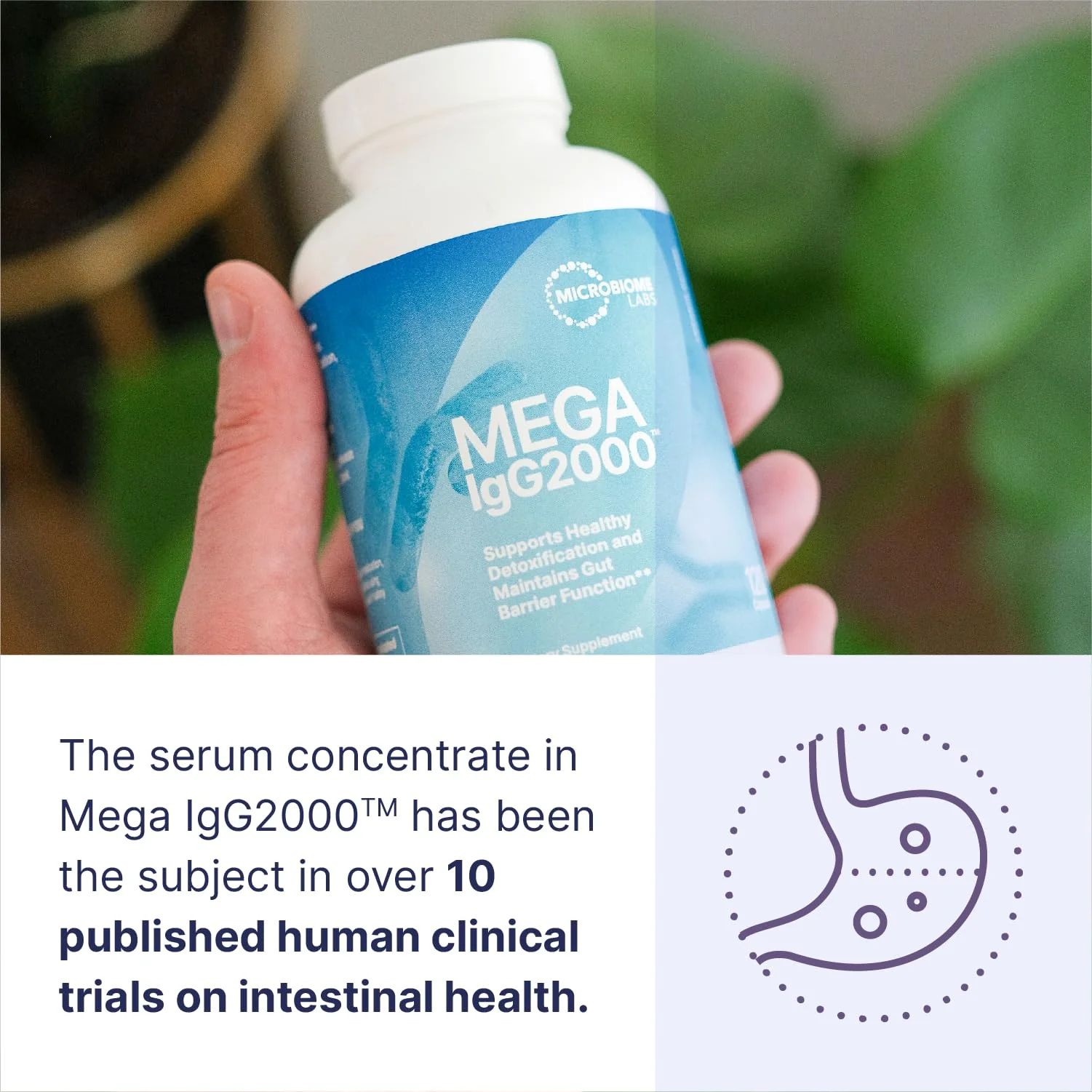 Microbiome Labs Mega IgG2000 Gut Health Powder for Women, Men & Kids 2+ - IgG Immunoglobulin Supplement for Digestive Health Support - Dairy-Free Bovine Colostrum Supplement Alternative (2.1 Ounces) - Image 6