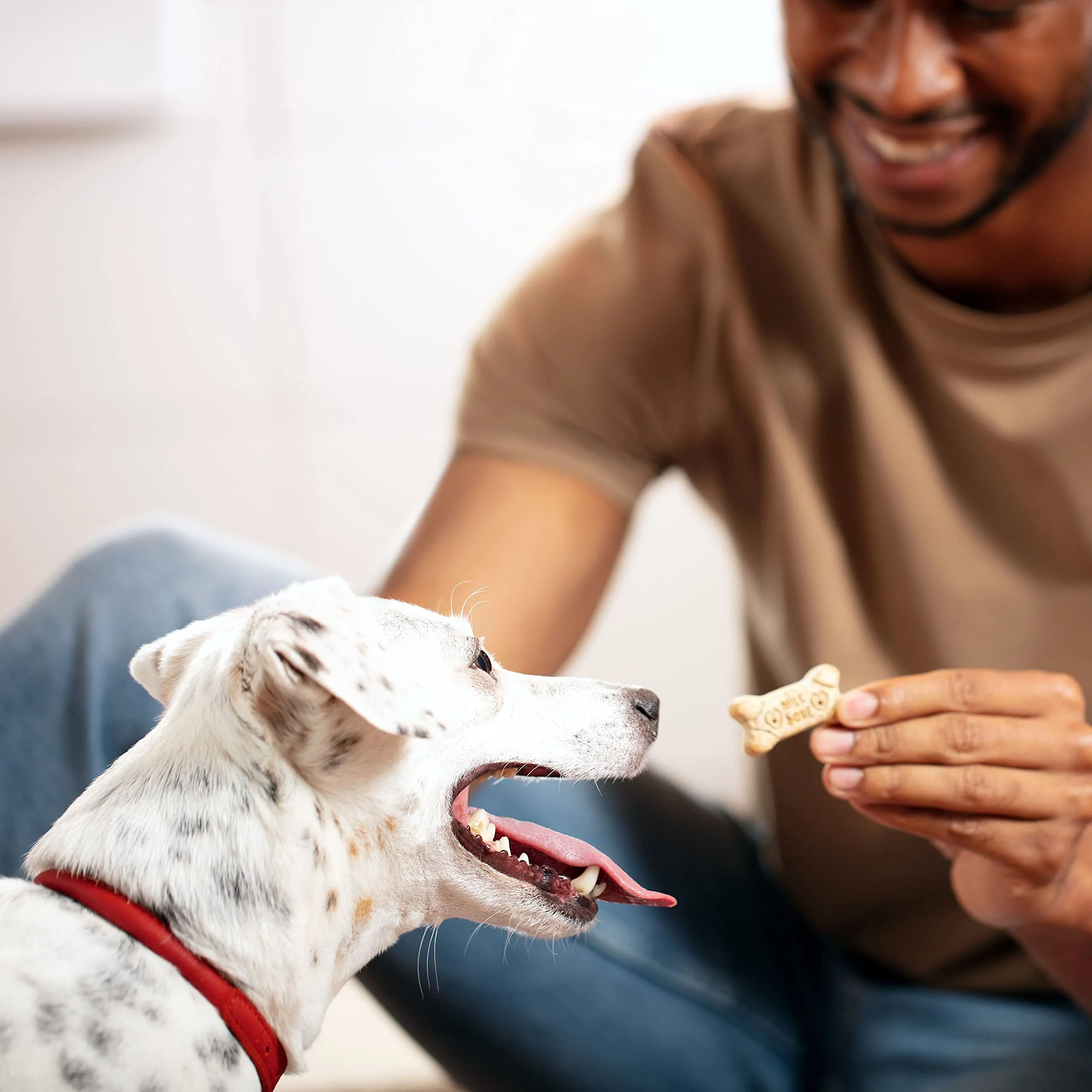 Milk-Bone Original Dog Treats Biscuits for Medium Dogs, 10 Pound - Image 5
