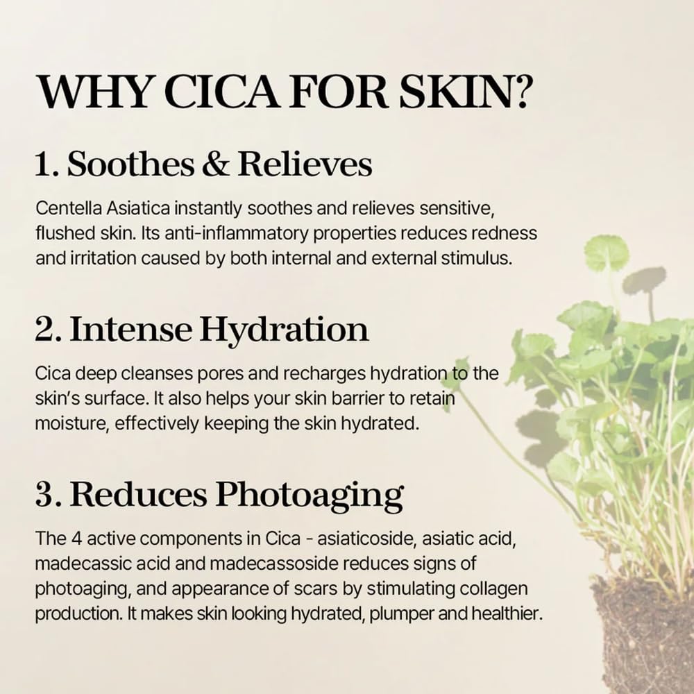 mixsoon Soondy Centella Asiatica Essence - Instant Hydrating & Soothing Essence for Irritated, Sensitive Skin - Korean Skincare for Glass Skin - Jeju Island CICA Extracts (3.38 fl.oz / 100ml) - Image 8