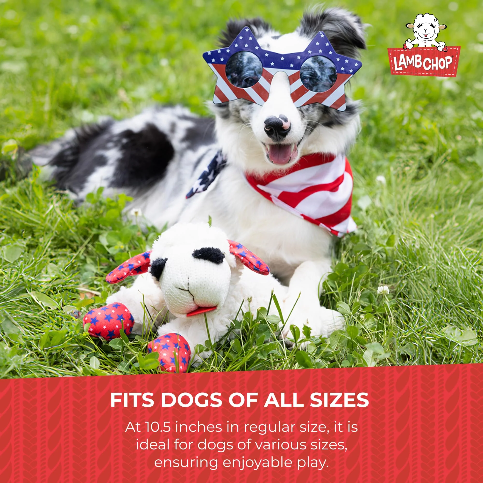 Multipet Lamb Chop Dog Plush Toy w/Birthday Hat - Squeaky Toy for All Dogs - Extra Soft Plush - Stuffed Animal for Cuddling & Playing (10.5", Blue Hat, 5 Squeakers) - Image 3