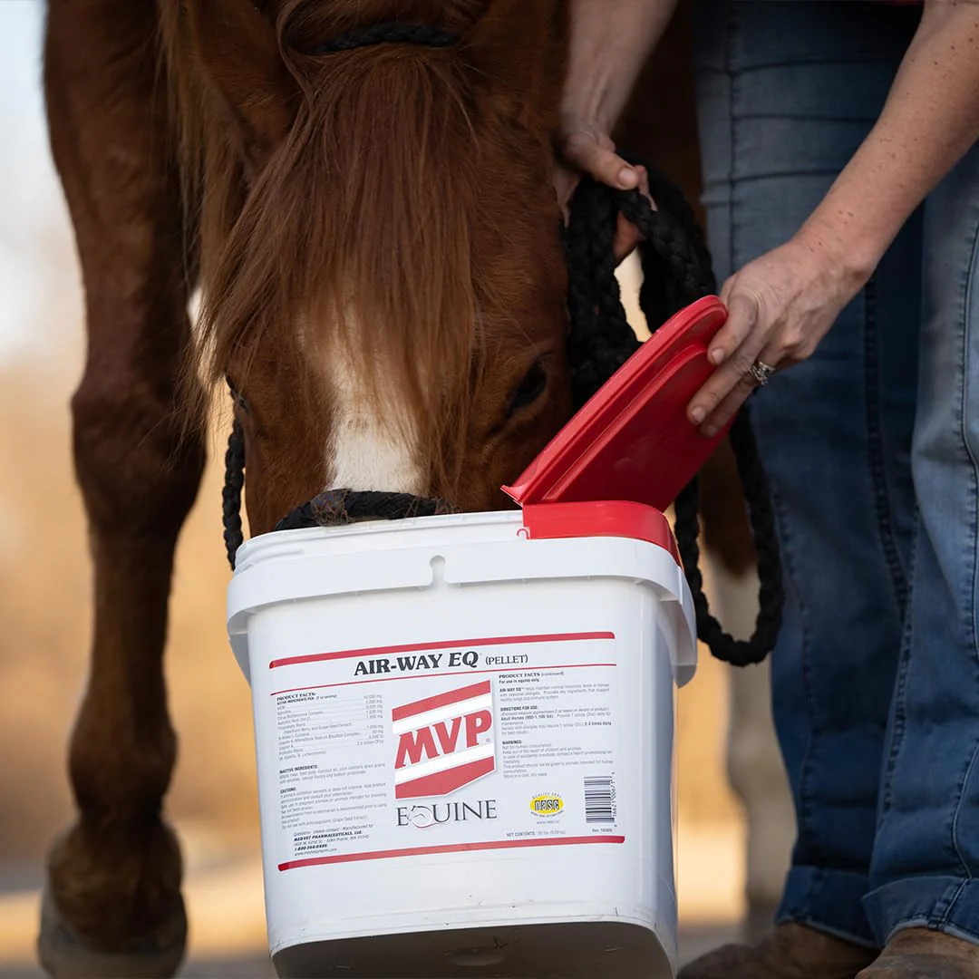 MVP Air-Way EQ Supports Healthy Lung Function and Seasonal Allergy Support in Horses, 5lb - 40 Servings - Image 3