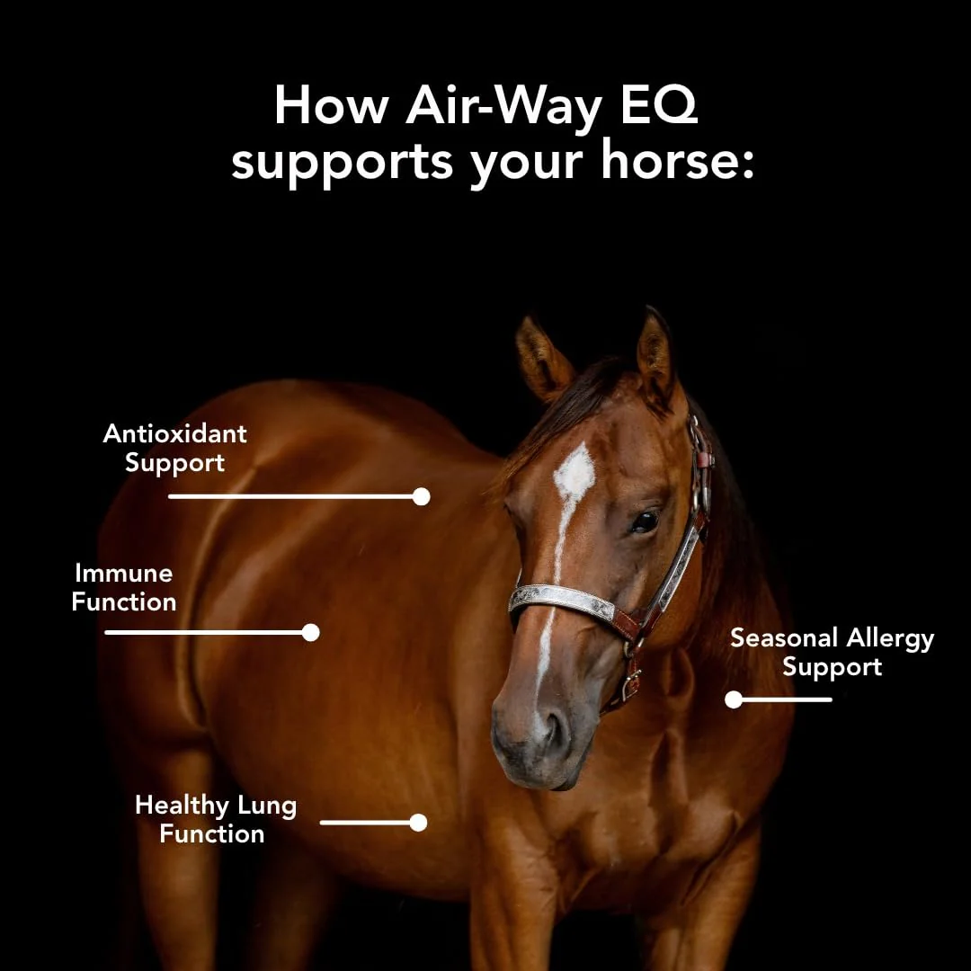 MVP Air-Way EQ Supports Healthy Lung Function and Seasonal Allergy Support in Horses, 5lb - 40 Servings - Image 5