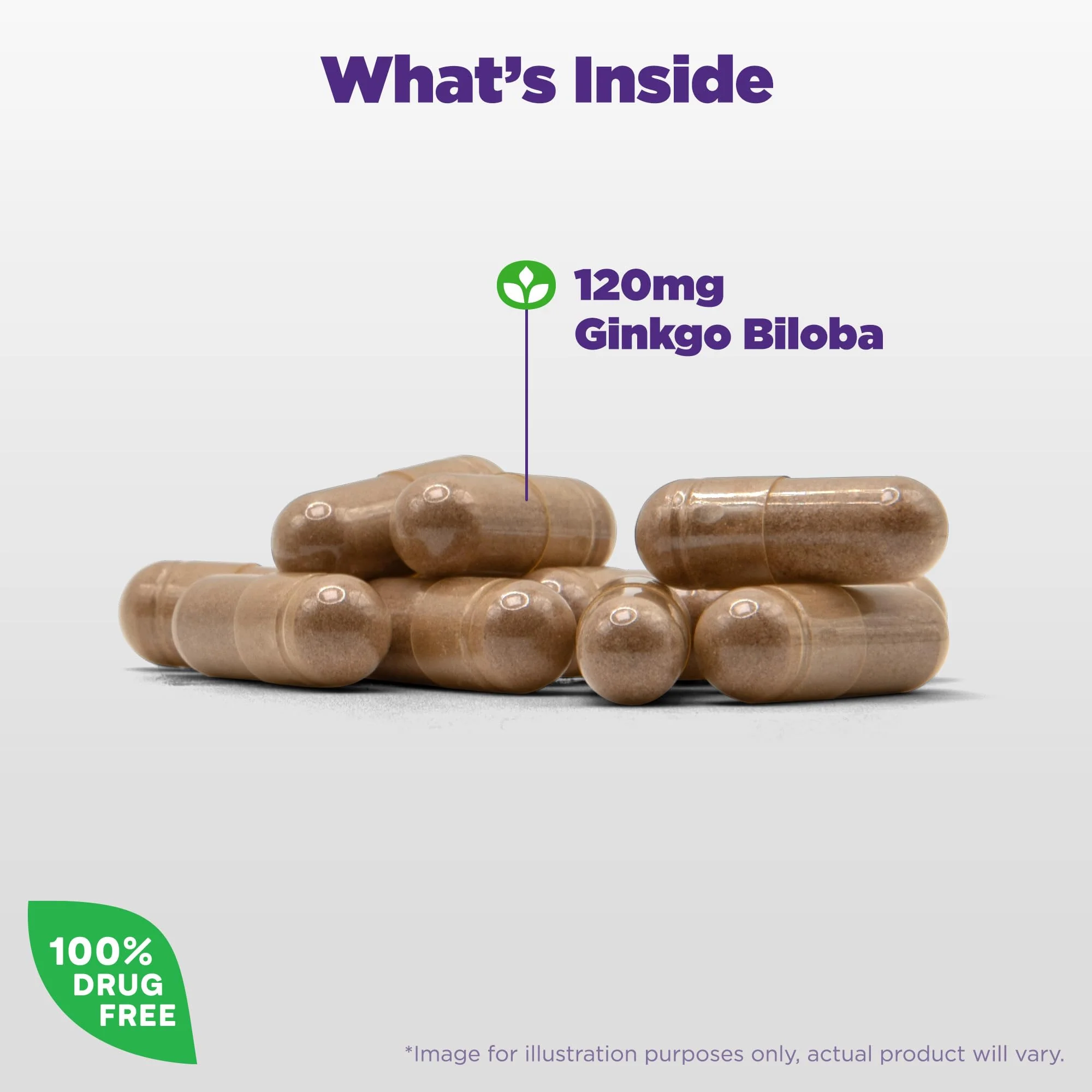 Natrol Brain Health Ginkgo Biloba 120mg, Dietary Supplement for Brain Health and Memory Support, 60 Capsules, 60 Day Supply - Image 8