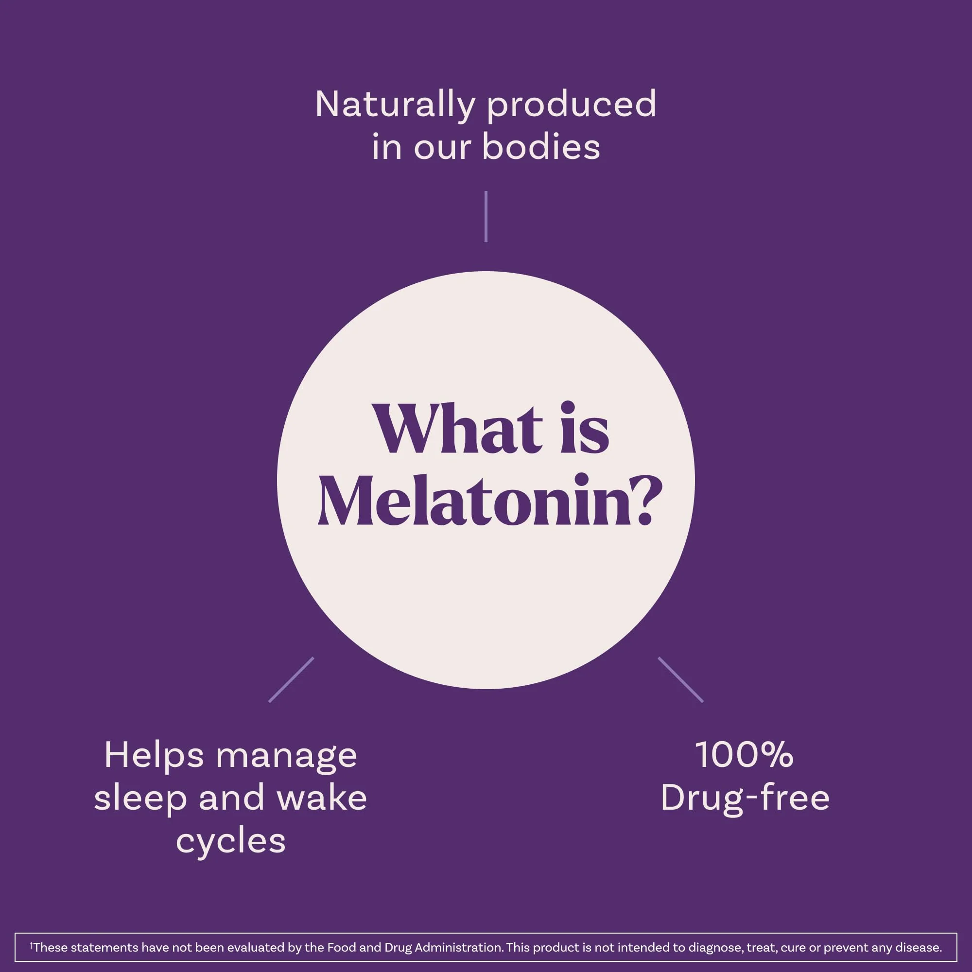 Natrol Fast Dissolve Melatonin 1 mg, Sleep Support for Adults - Image 7