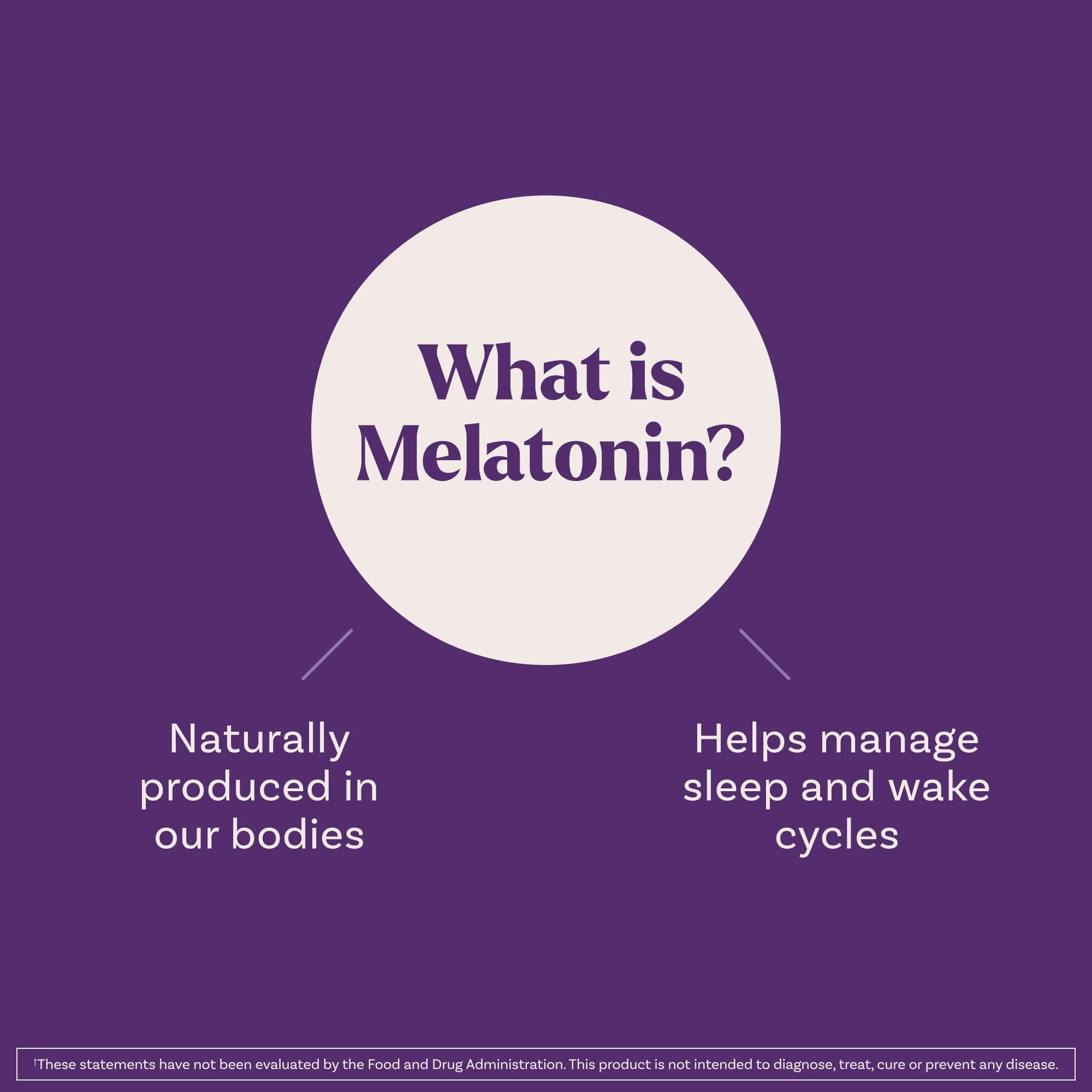Natrol Liquid Melatonin 1 mg, Adult Melatonin Supplement to Fall Asleep Faster and Stay Asleep Longer, Wake Up Refreshed, 2 FL OZ Berry-Flavored Liquid, 15 Servings - Image 5