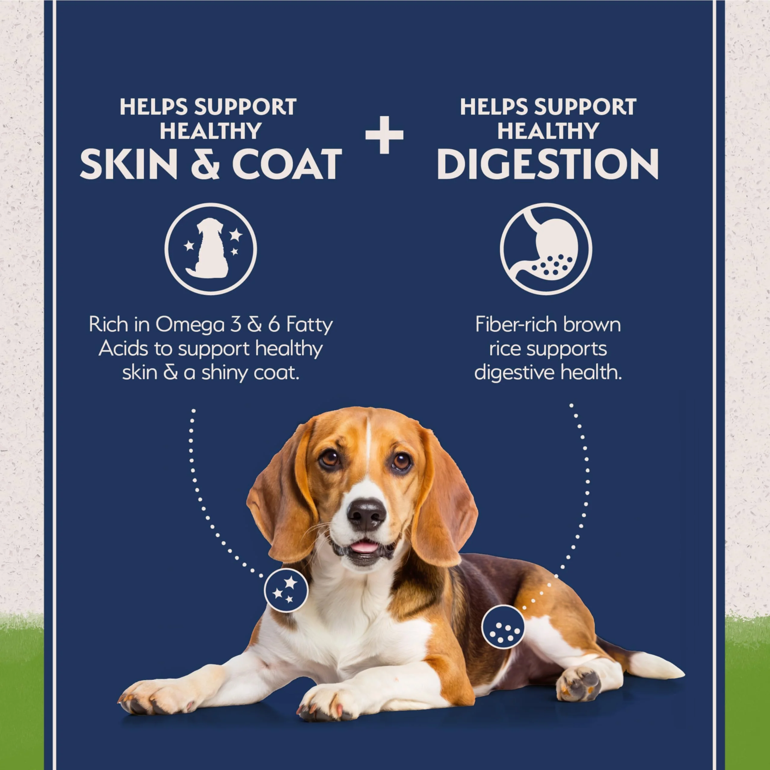 Natural Balance Limited Ingredient Adult Dry Dog Food with Vegan Plant Based Protein and Healthy Grains, Vegetarian Recipe, 4 Pound (Pack of 1) - Image 9