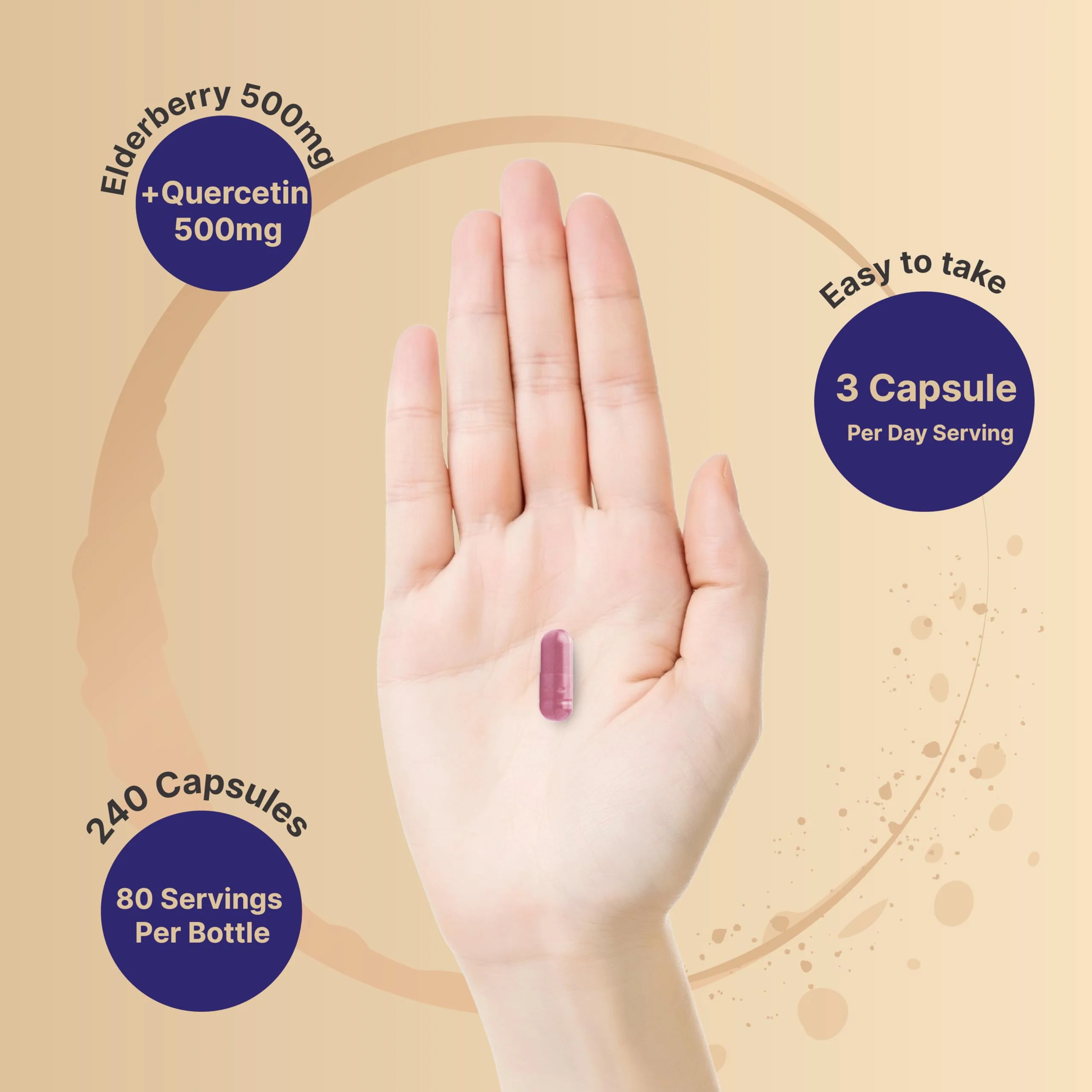 NatureBell Elderberry Quercetin 4-in-1 with Vitamin C & Zinc, 240 Capsules | Traditional Herbal Supplement | 500mg Sambucus Nigra, 500mg Quercetin, 250mg Vitamin C, 50mg Zinc Picolinate per Serving - Image 6