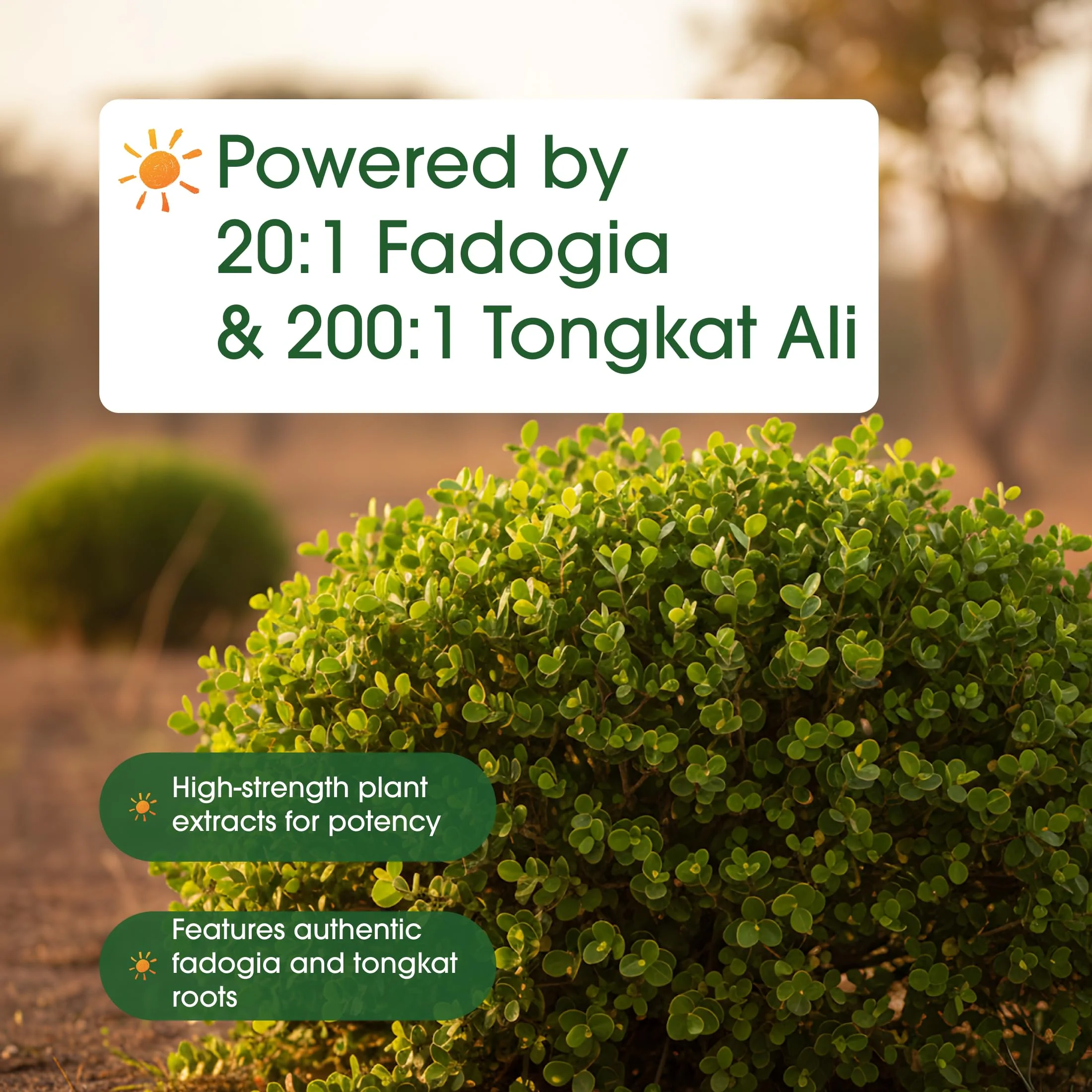 NatureBell Fadogia Agrestis - 240 Capsules - 600mg Fadogia Agrestis with 400mg Tongkat Ali - High Strength Extracts for Vitality & Workout Performance Support* - Image 4