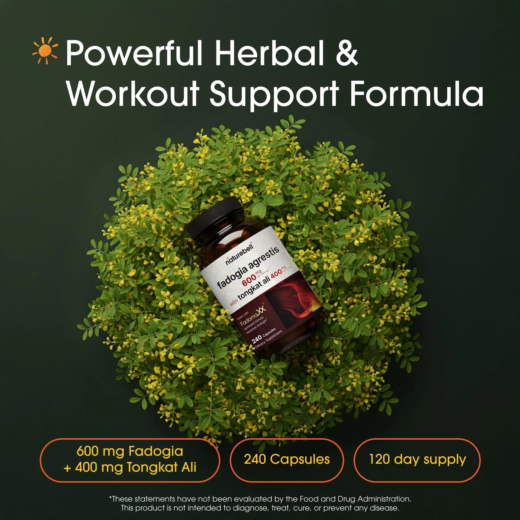 NatureBell Fadogia Agrestis - 240 Capsules - 600mg Fadogia Agrestis with 400mg Tongkat Ali - High Strength Extracts for Vitality & Workout Performance Support* - Image 8